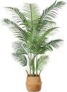MOSADE Artificial Areca Palm Tree 6Feet Fake Tropical Palm Plant and Handmade Seagrass Basket, Perfect Tall Faux Dypsis Lutescens Plants for Entryway Modern Decor Home Office Porch Balcony Gift