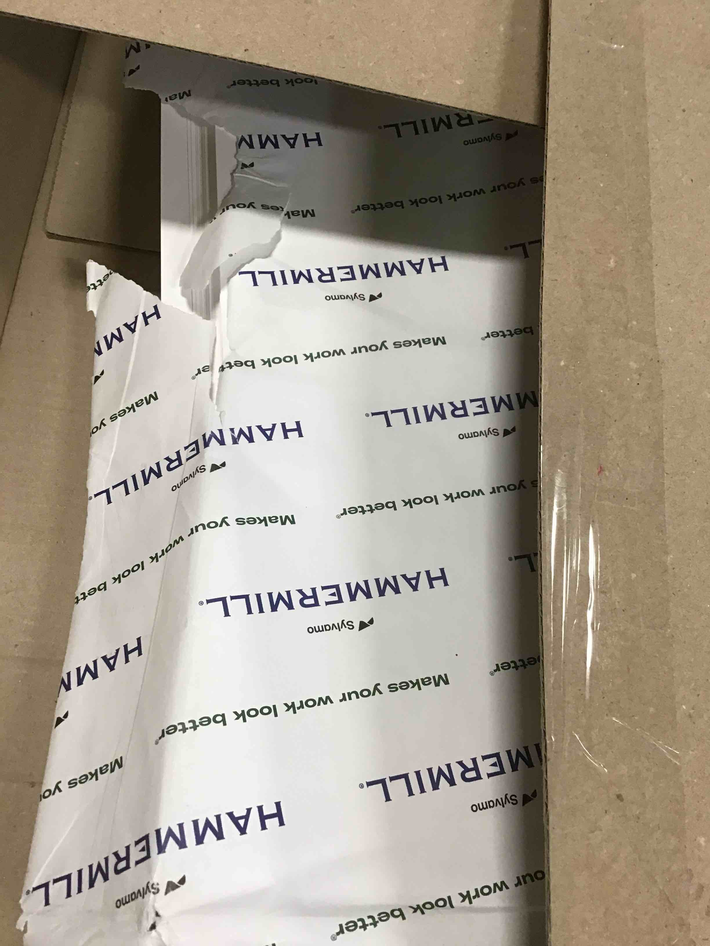 https://s3.amazonaws.com/lotting-images-prod/bidfta/YEL5974566_1709494454015.jpeg