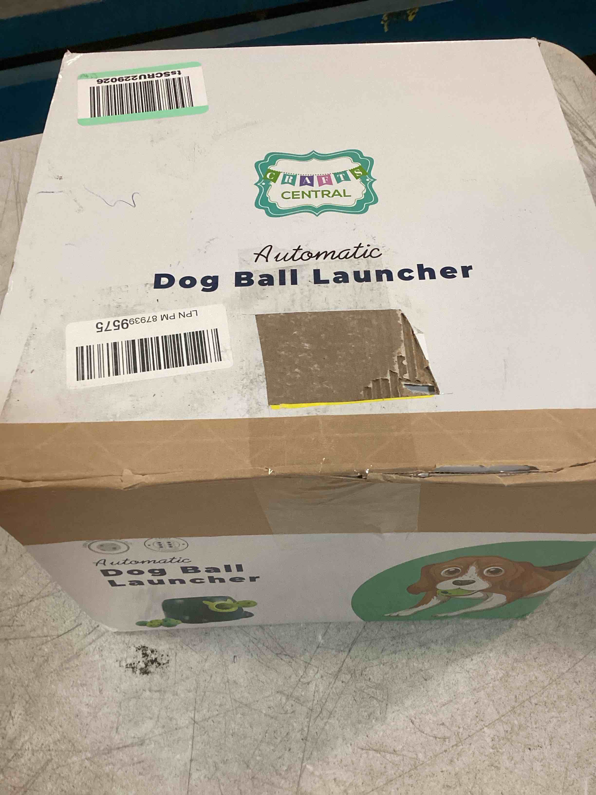https://s3.amazonaws.com/lotting-images-prod/bidfta/YEL5975010_1709059472696.jpeg