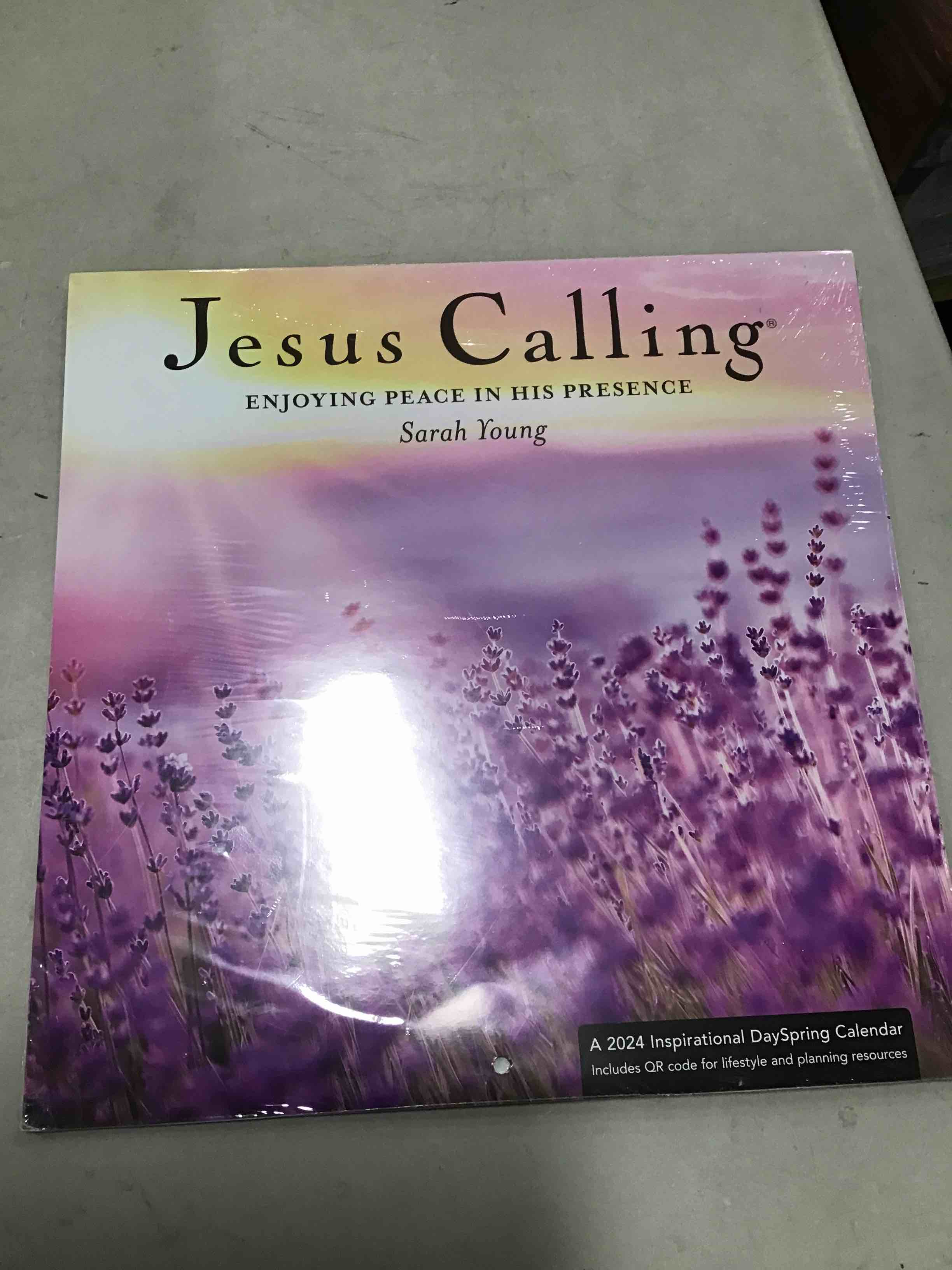 Jesus calling enjoying peace in his presence Sarah young 