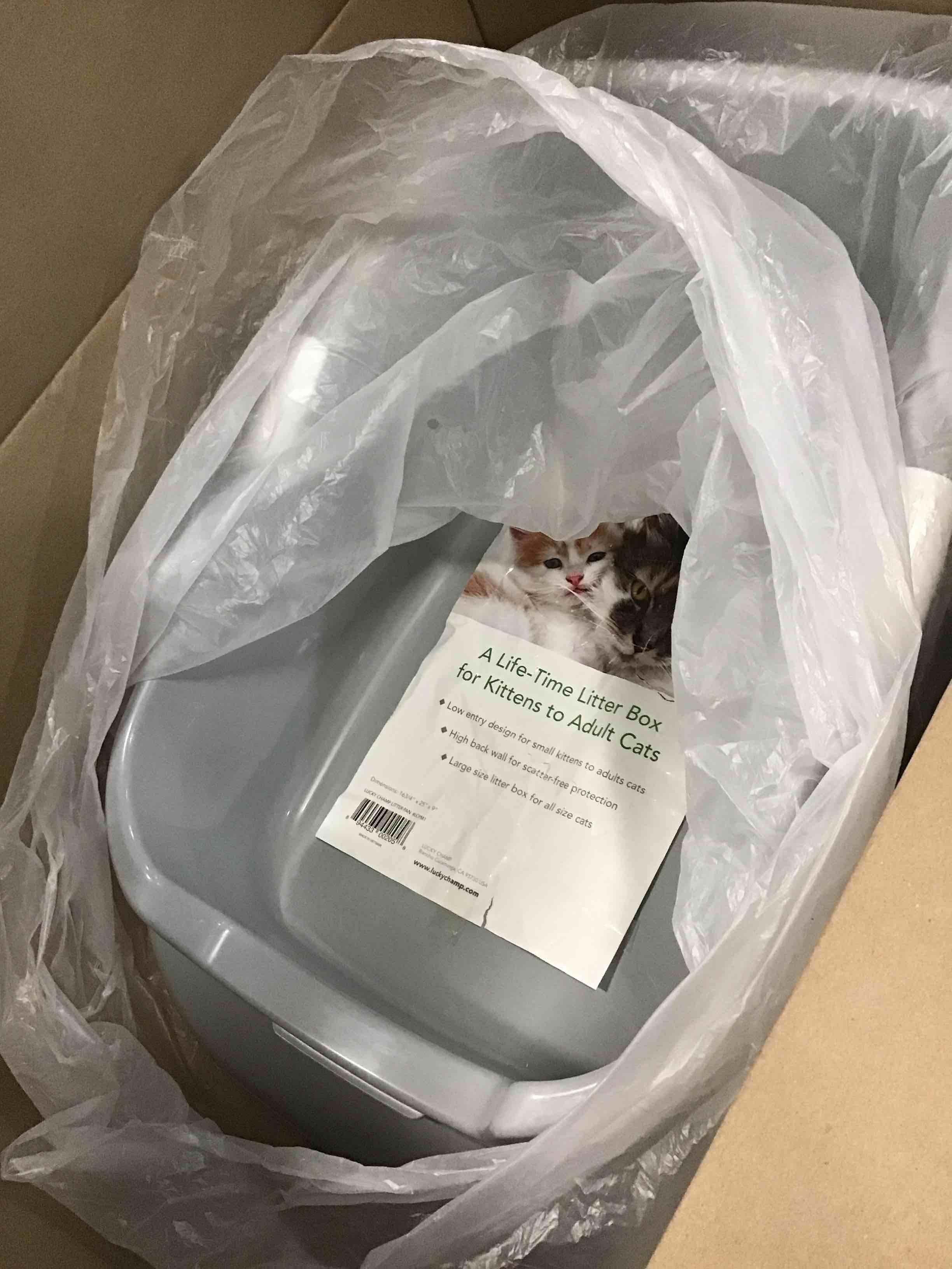 https://s3.amazonaws.com/lotting-images-prod/bidfta/YEL6046714_1708696732710.jpeg