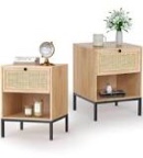 Rattan Nightstand Set of 2, End Table, Bedside Table, Rattan Side Table with Handmade Natural Rattan Decorative Door, Accent Table, Modern Nightstand for Bedroom, Living Room