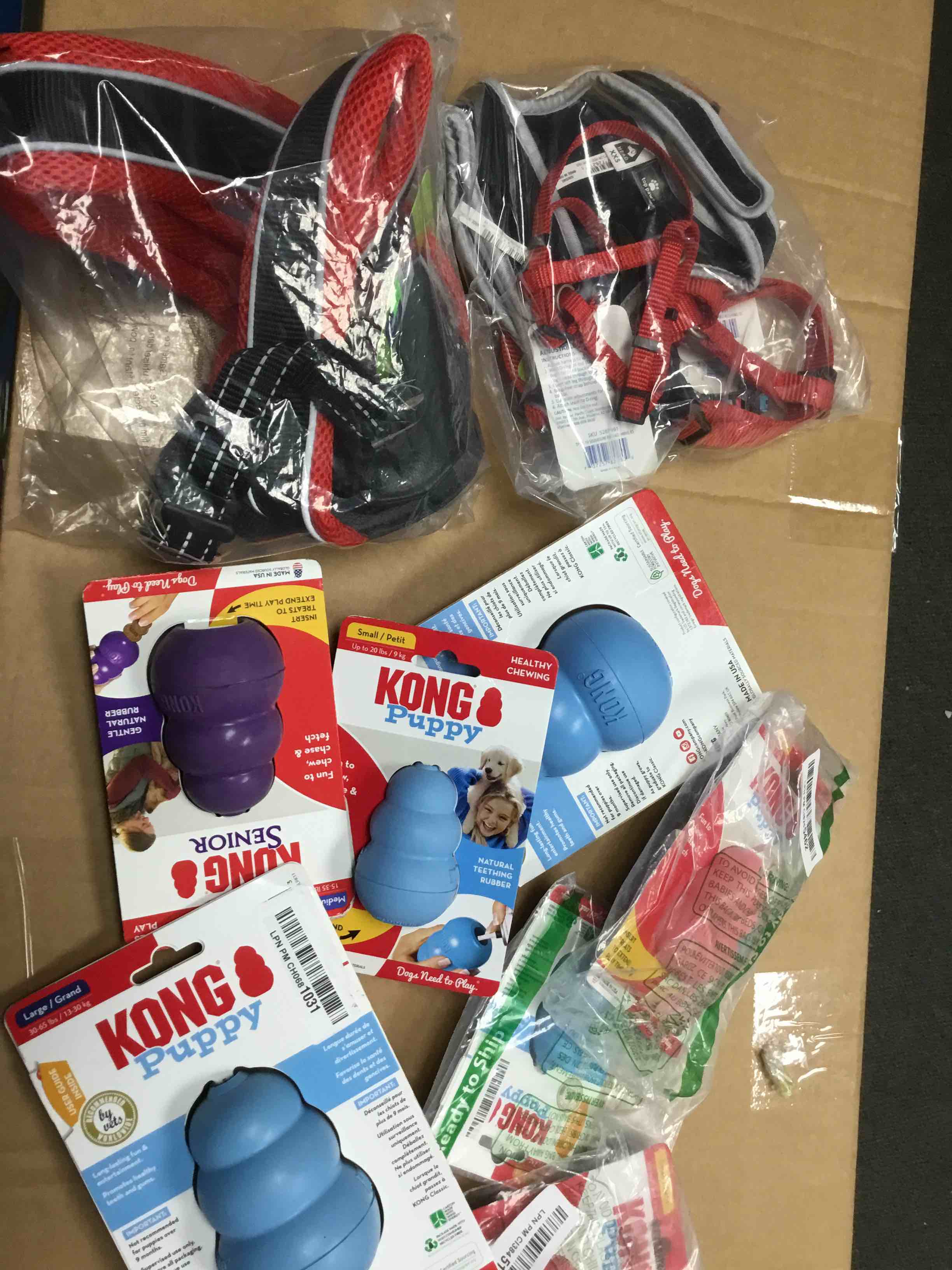 KONG - Puppy Toy Natural Teething Rubber - Fun to Chew, Chase and Fetch - for Small Puppies