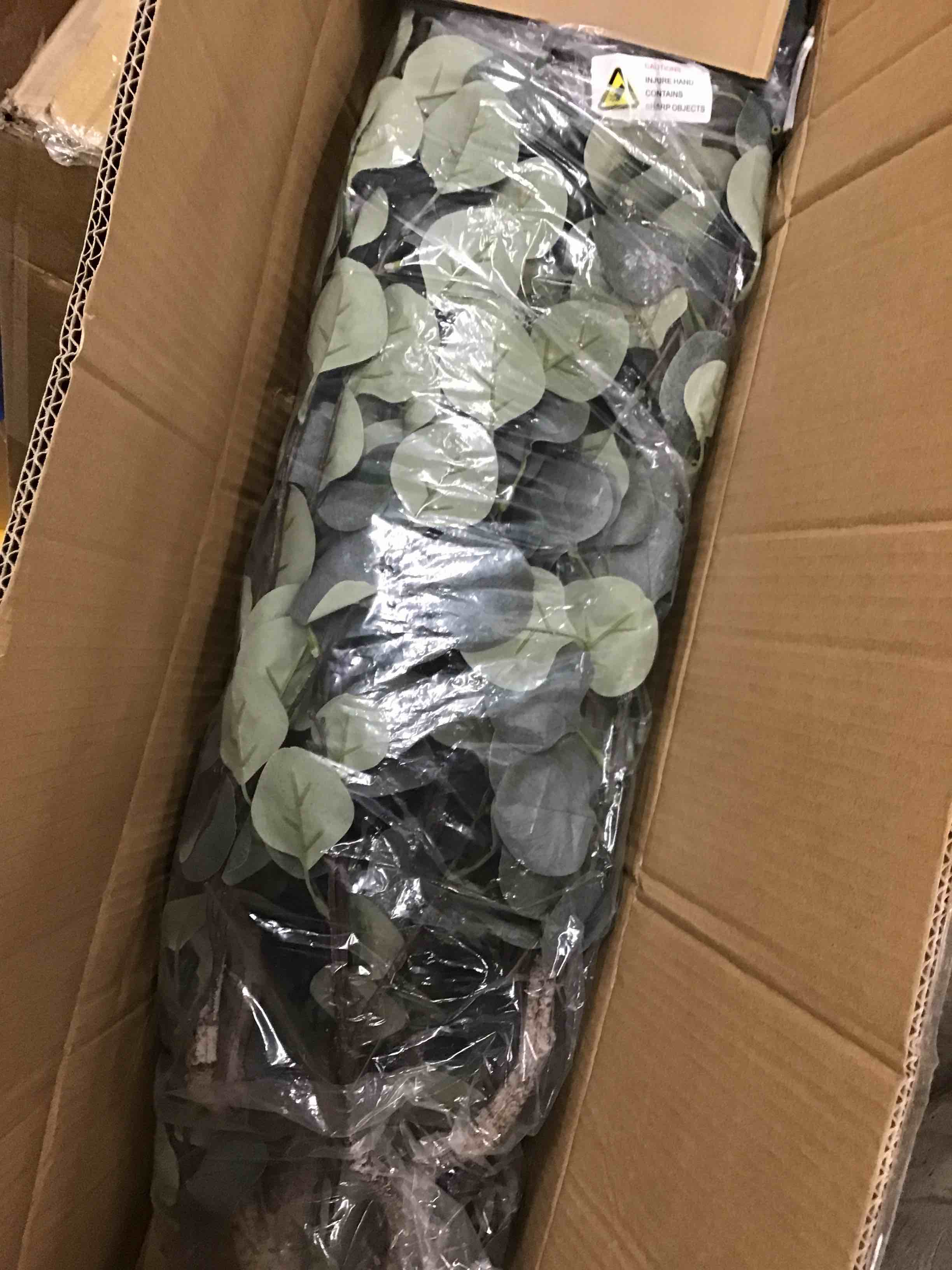 https://s3.amazonaws.com/lotting-images-prod/bidfta/YEL6070983_1716923928571.jpeg