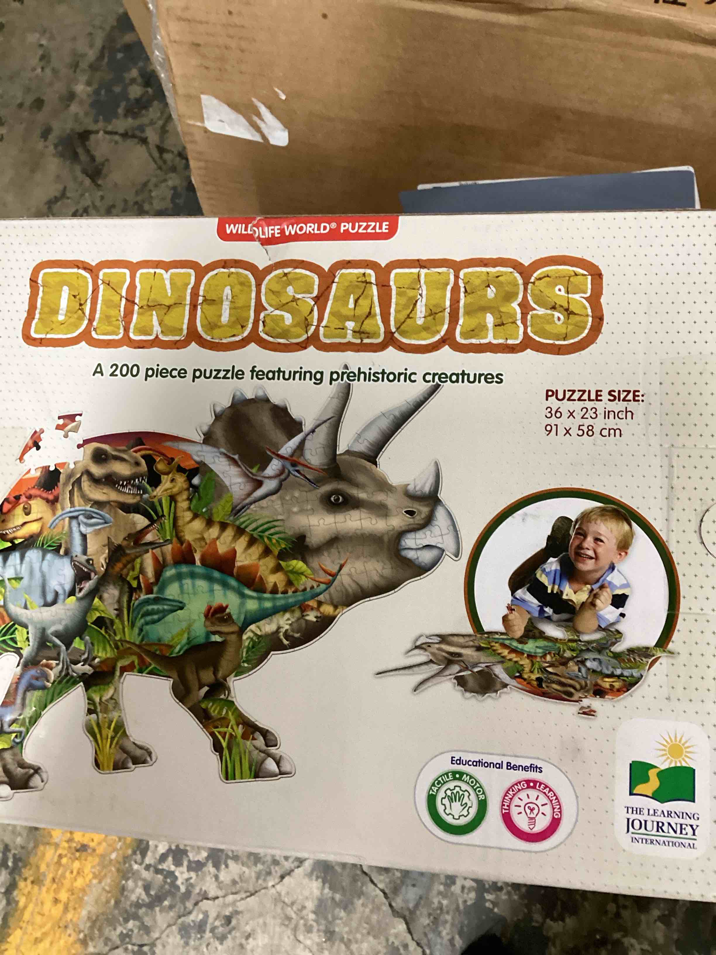 The Learning Journey: Wildlife World - Dinosaurs Puzzle - 200pcs Challenging Jigsaw Puzzles - Intellectual Game Learning Education Kids Age 6-12