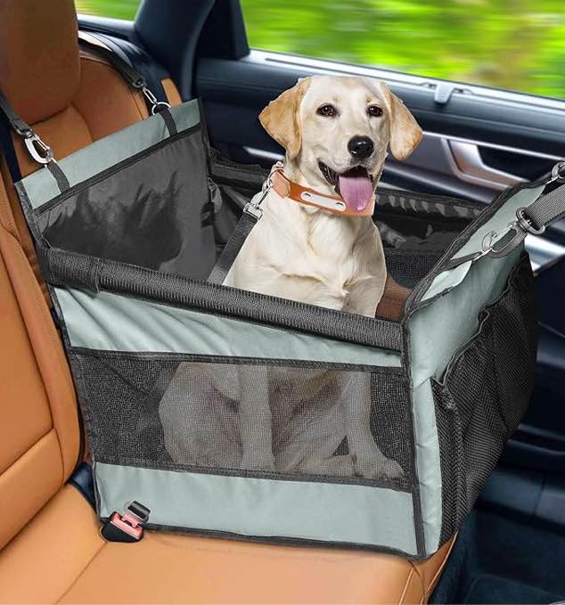sunny dear car seat 