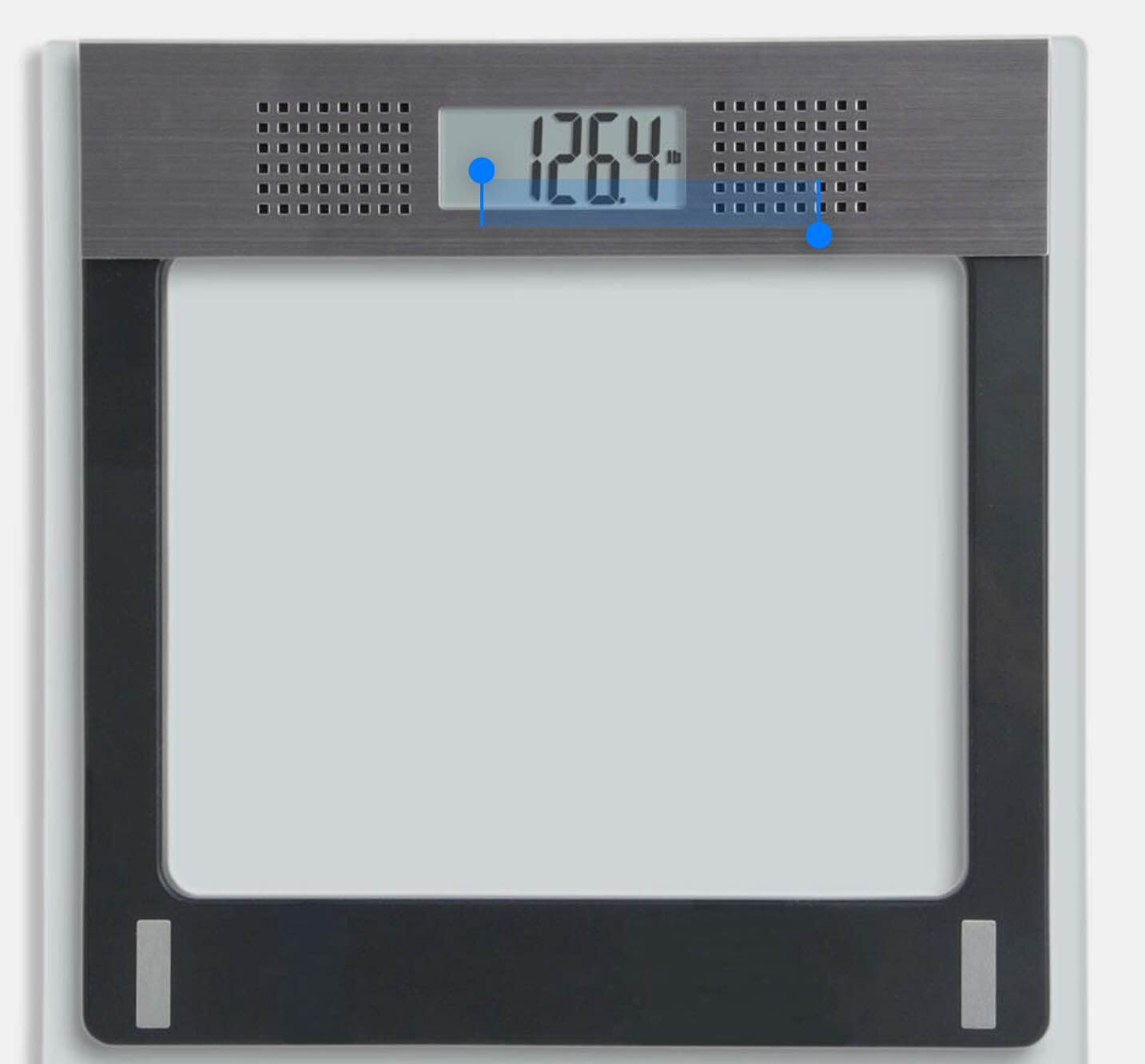 The Best Talking Scale