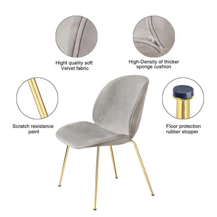 Rosana Velvet Upholstered Side Chair (Set of 2)