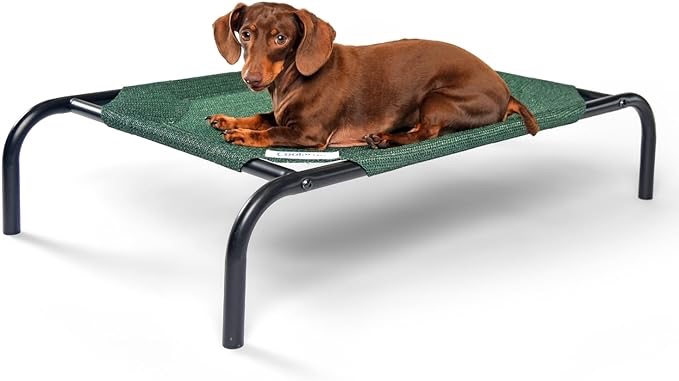 Coolaroo The Original Cooling Elevated Pet Bed,Brunswick Green, Large