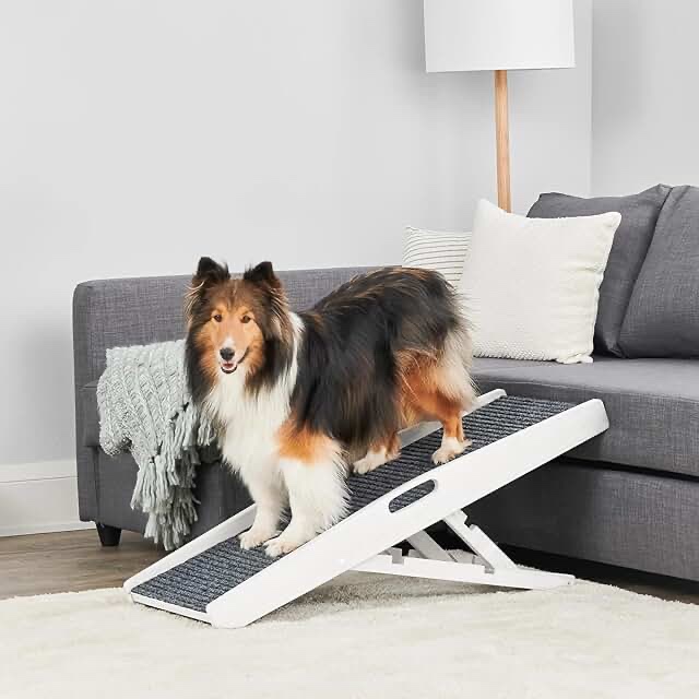 Dog Ramps (White Wood, with Steps)