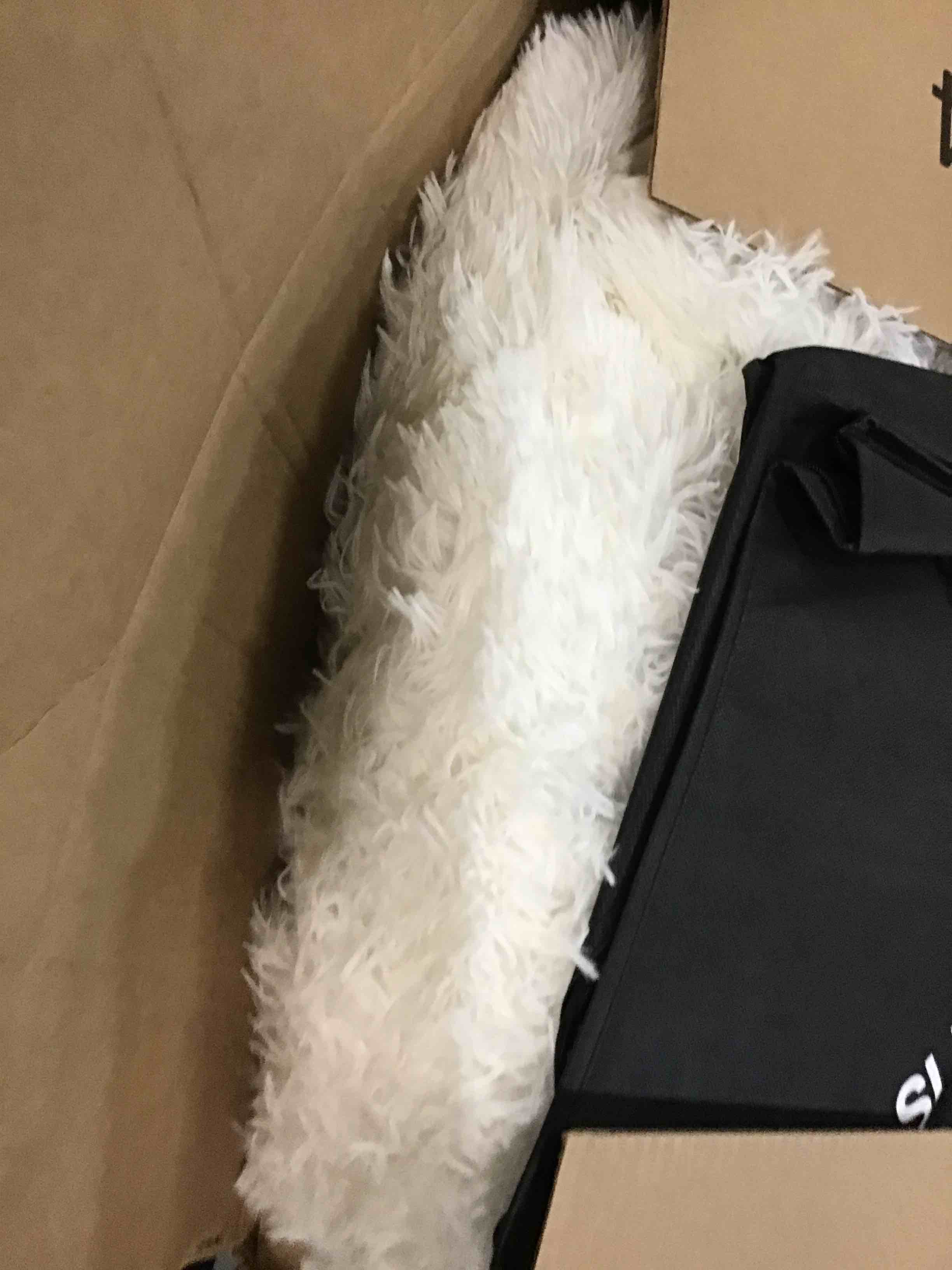 https://s3.amazonaws.com/lotting-images-prod/bidfta/YEL6284837_1712347962552.jpeg
