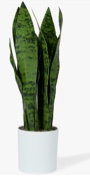 flybold Fake Snake Plant Faux Snake Plant,Large Faux Sansevieria Plant Artificial with 7 Tall Leaves Thick Durable Pot for Indoor Modern Decor Mother in Law Tongue Plant (Green, 16 Inch)