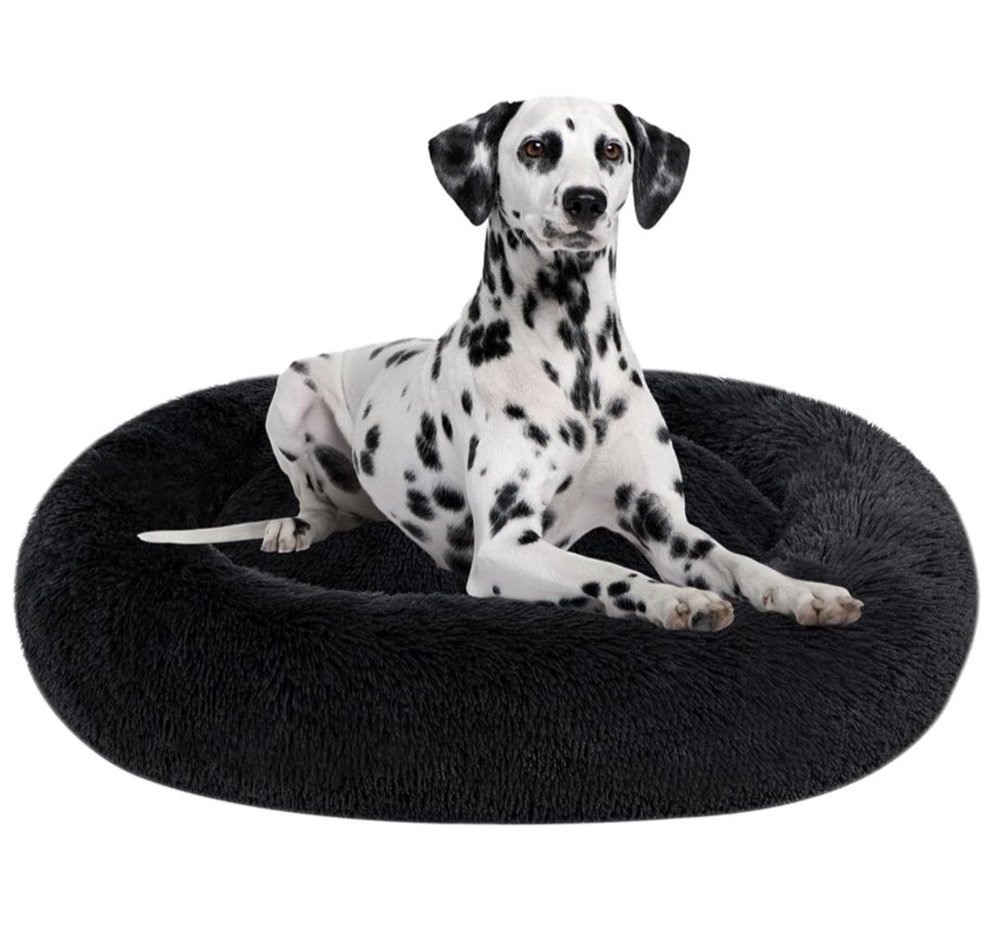 Coohom Oval Calming Donut Cuddler Dog Bed,Shag Faux Fur Cat Bed Washable Round Pillow Pet Bed(30"/36"/43") for Small Medium Dogs (XL(36"x27"x7"),Light Brown)