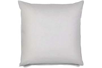 MIULEE Throw Pillow Insert Hypoallergenic Premium Pillow Stuffer Sham Square for Decorative Cushion Bed Couch Sofa 28x28 Inch