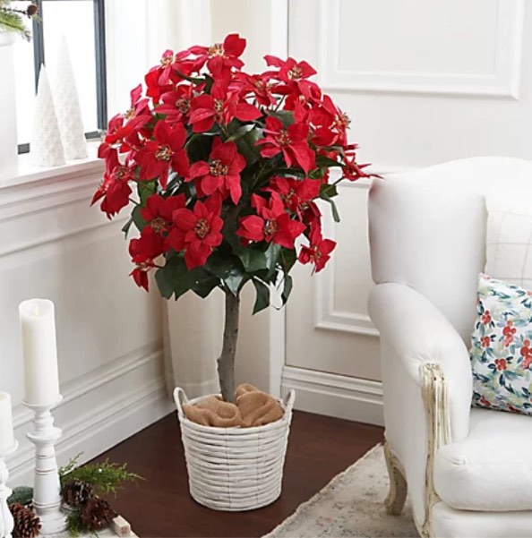 Wicker Park 4' Indoor/Outdoor Poinsettia Tree