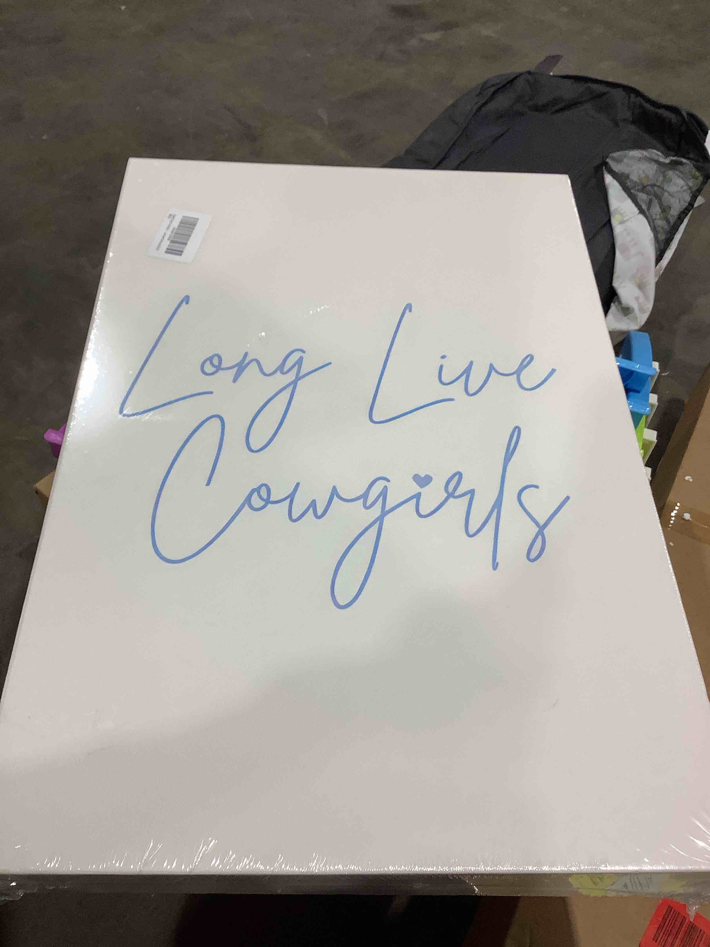 Condition photo showing New/Like New for Long live cowgirl Canvas Wall Art Beige Coquette Poster Prints Set of 3 Girly Apartment Aesthetic Pictures College Dorm Painting Decor for Girls Bedroom 16x24in Framed 16x24in Canvas Beige