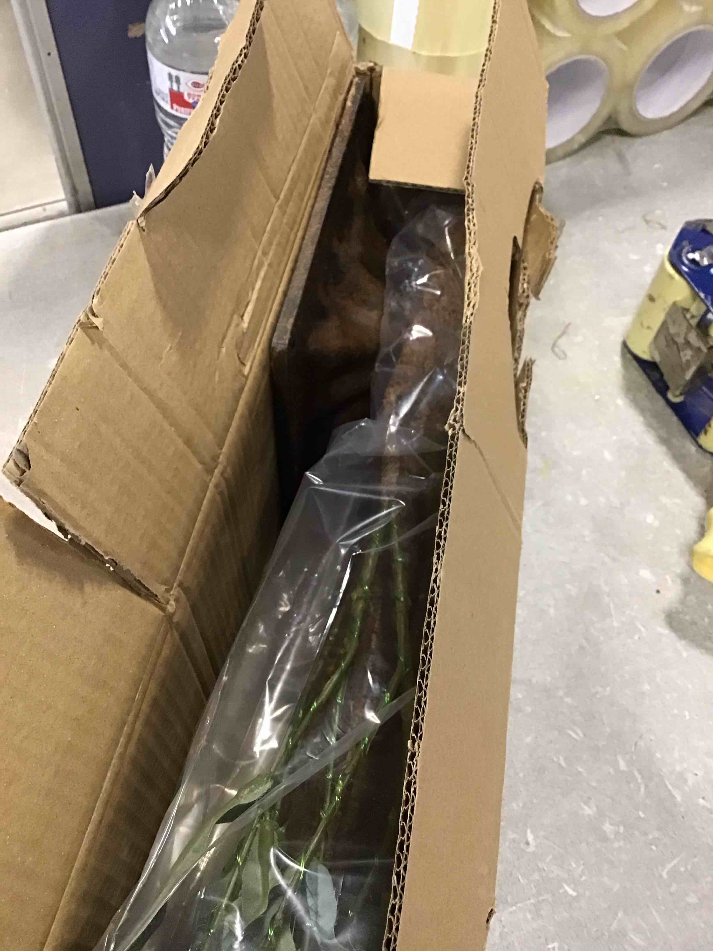https://s3.amazonaws.com/lotting-images-prod/bidfta/YEL6363837_1711542607658.jpeg