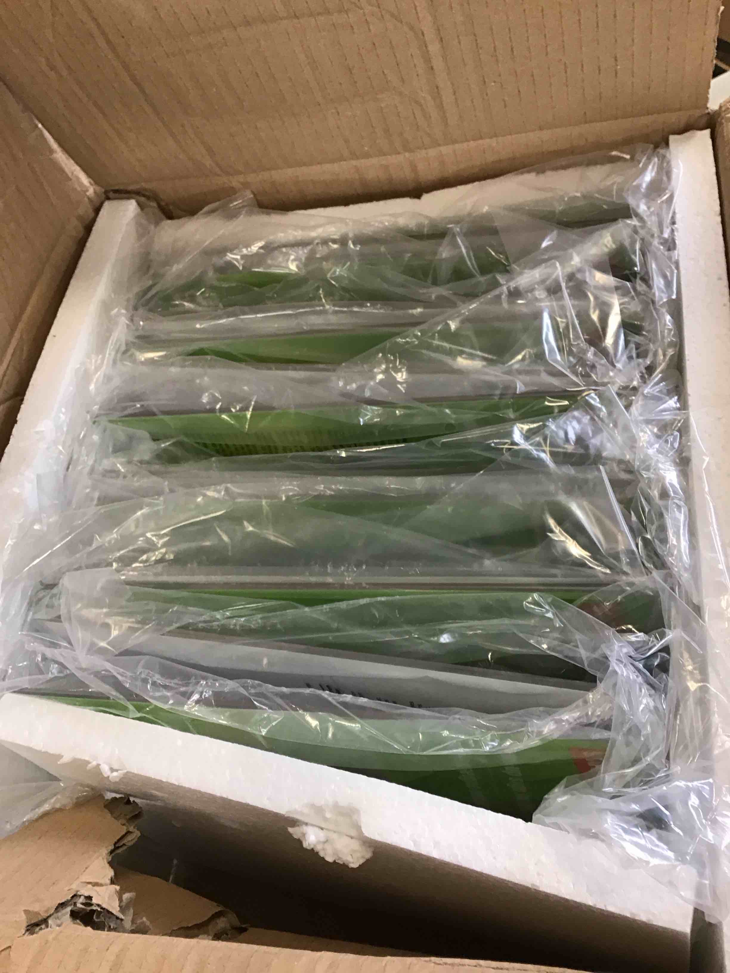 https://s3.amazonaws.com/lotting-images-prod/bidfta/YEL6367180_1711989719416.jpeg