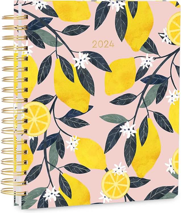 High Note 2024 Planner, 17-Month Weekly & Monthly Hardcover Planner: August 2023 to December 2024