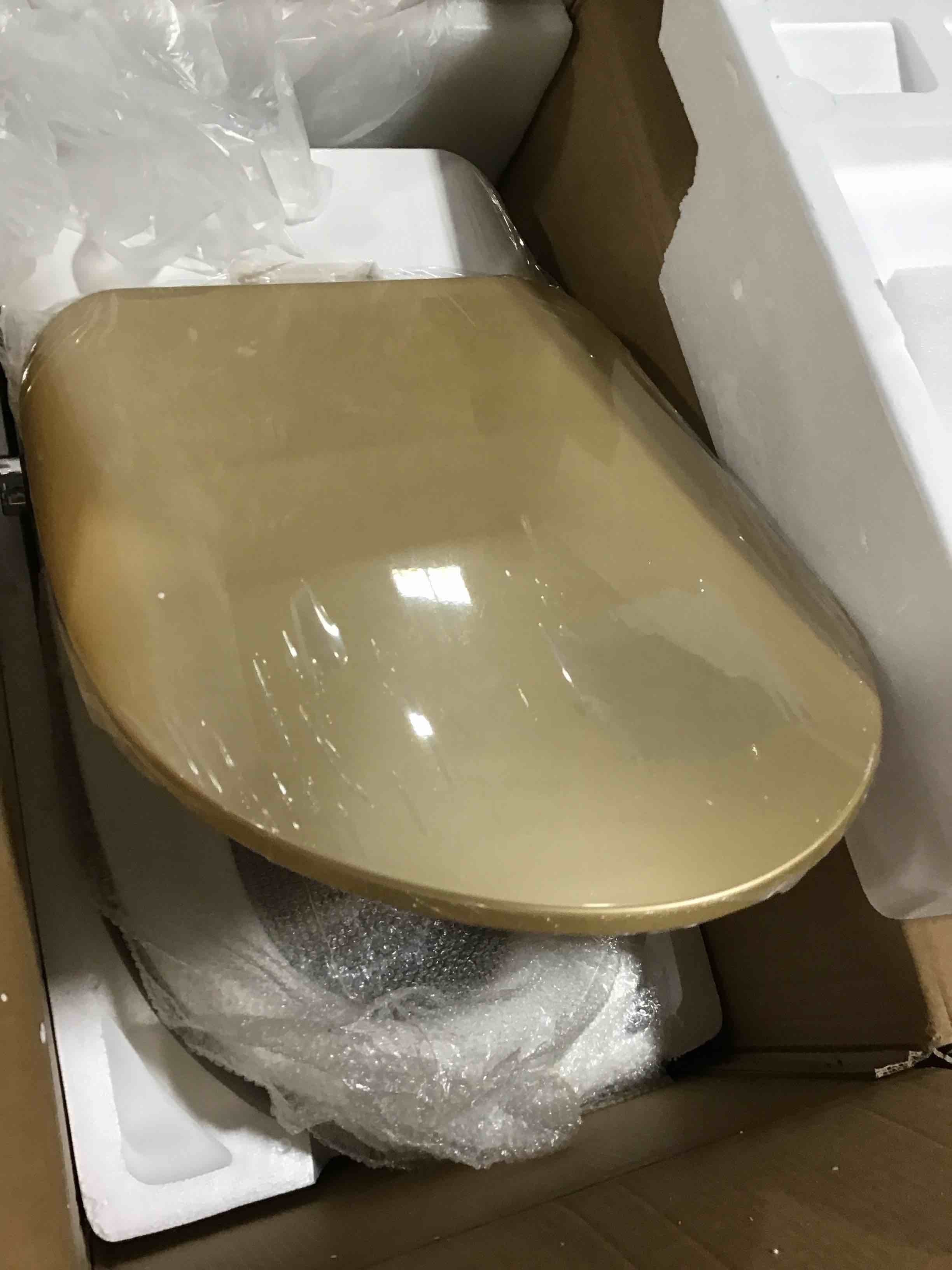 Homary Modern Smart One-Piece 1.27 GPF Floor Mounted Elongated Toilet and Bidet with Seat