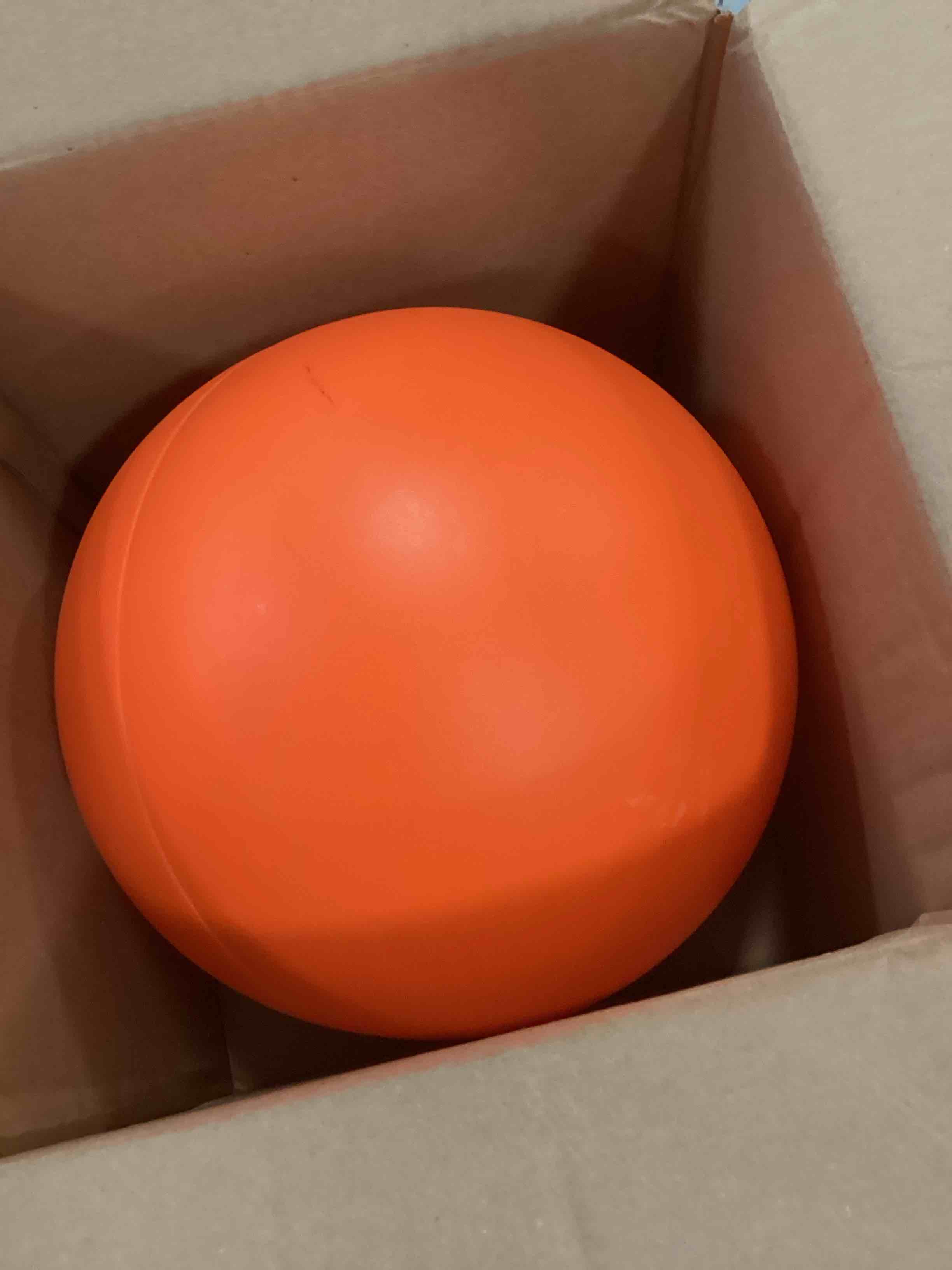 https://s3.amazonaws.com/lotting-images-prod/bidfta/YEL6399406_1715959693736.jpeg