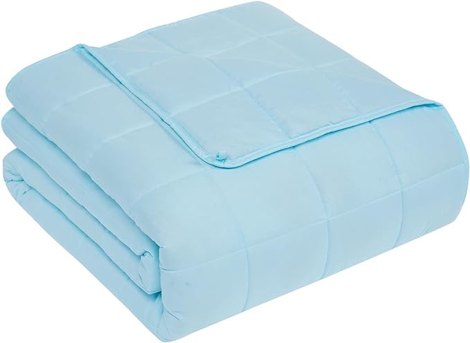 Weighted Blanket for Adults: Weighted Blanket with Premium Glass Beads - Breathable Heavy Blanket for Comfort Sleep - Thick Blanket for Adult All Season (20lbs, 60"x80", Queen, Light Blue)
