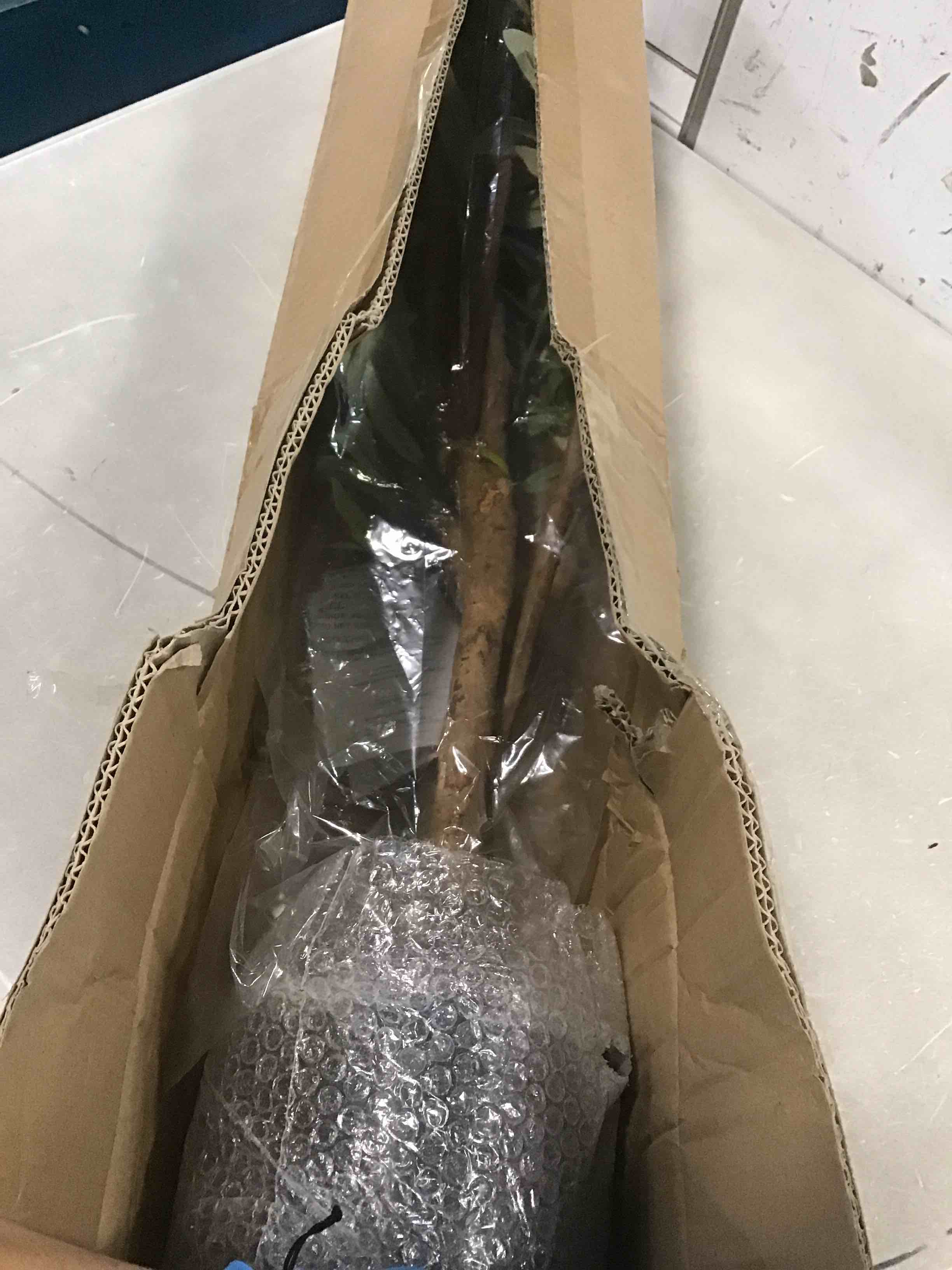 https://s3.amazonaws.com/lotting-images-prod/bidfta/YEL6440963_1718112803980.jpeg