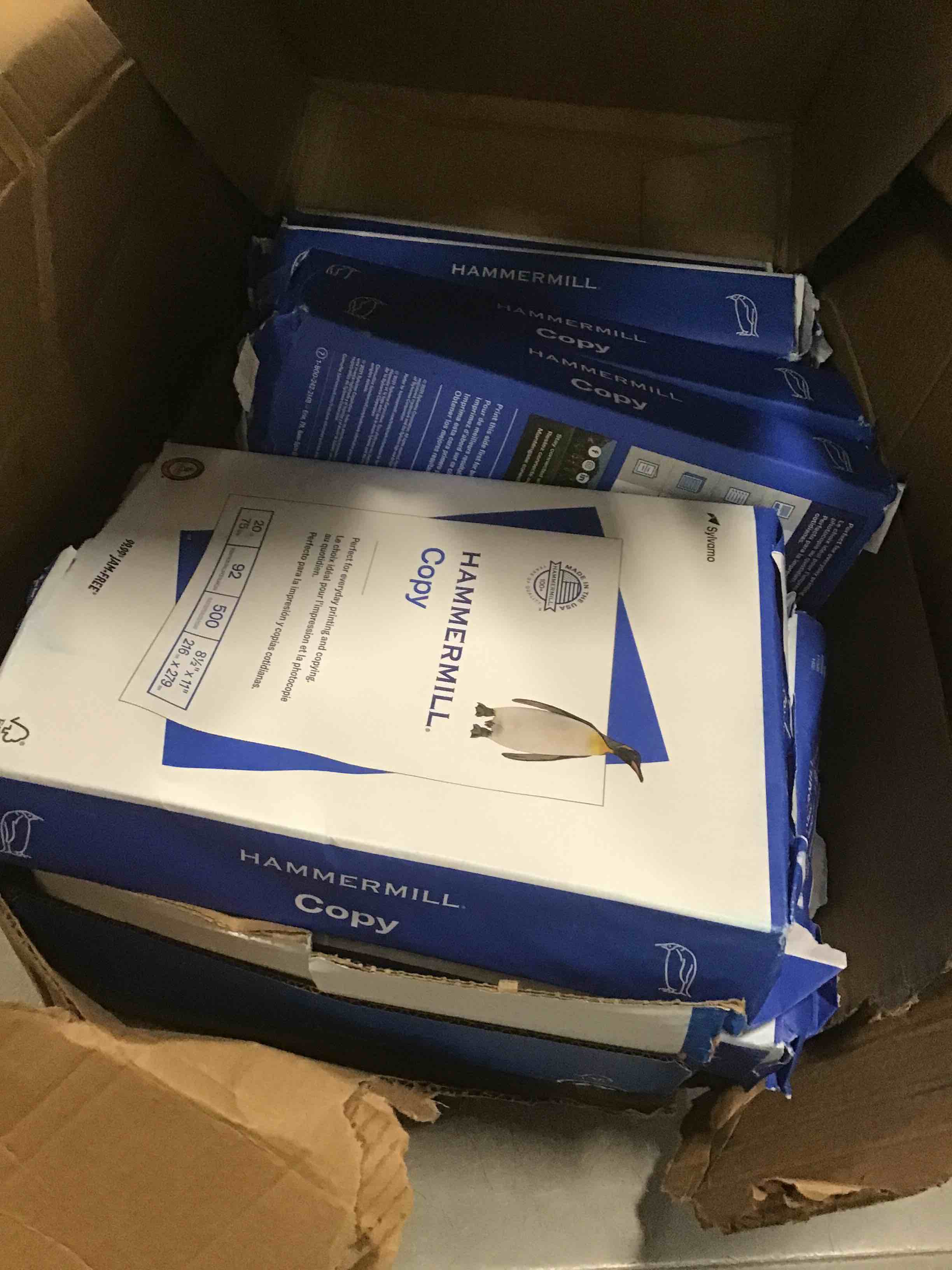 https://s3.amazonaws.com/lotting-images-prod/bidfta/YEL6441155_1718194493705.jpeg