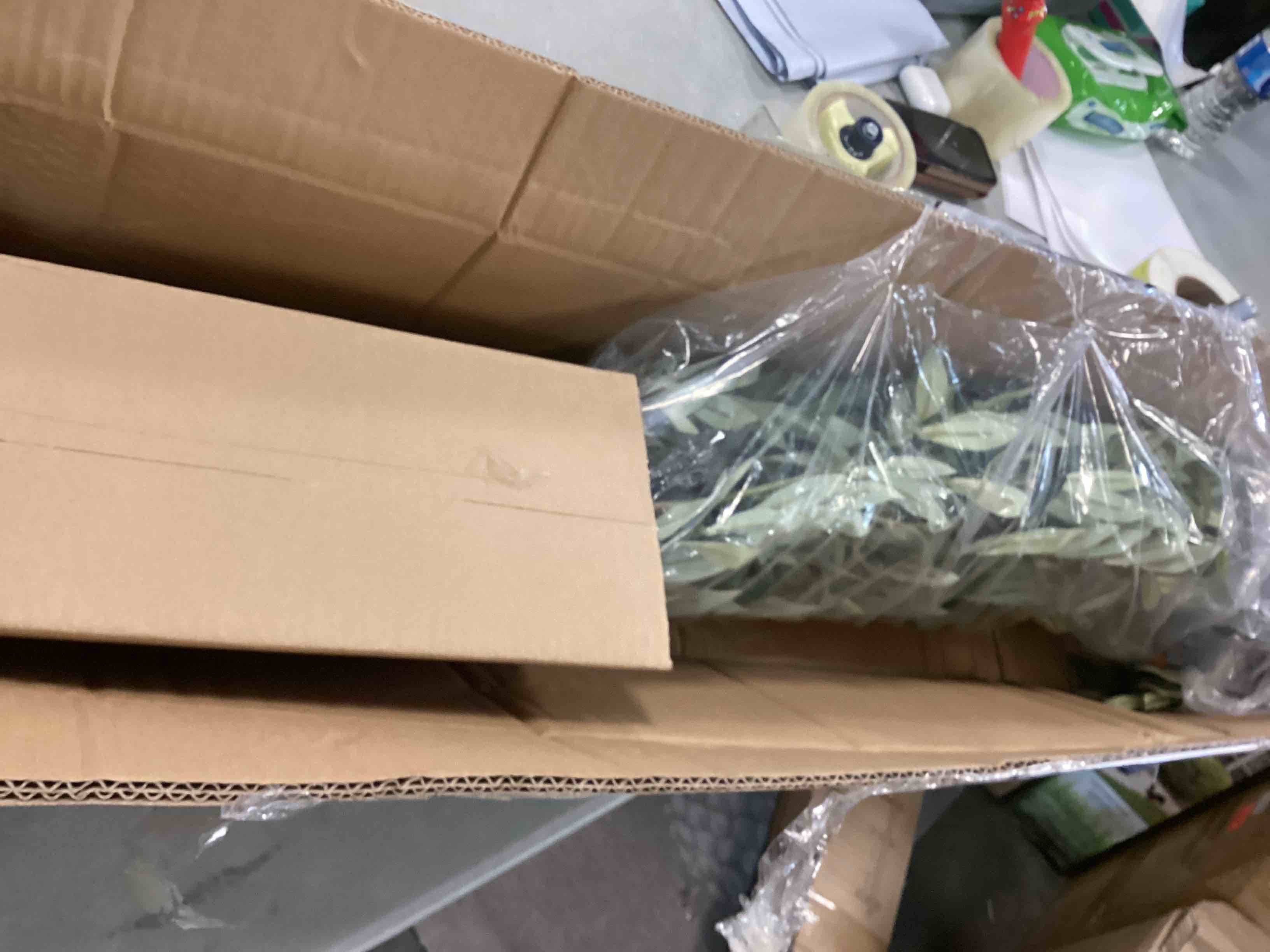 https://s3.amazonaws.com/lotting-images-prod/bidfta/YEL6443172_1717681594217.jpeg