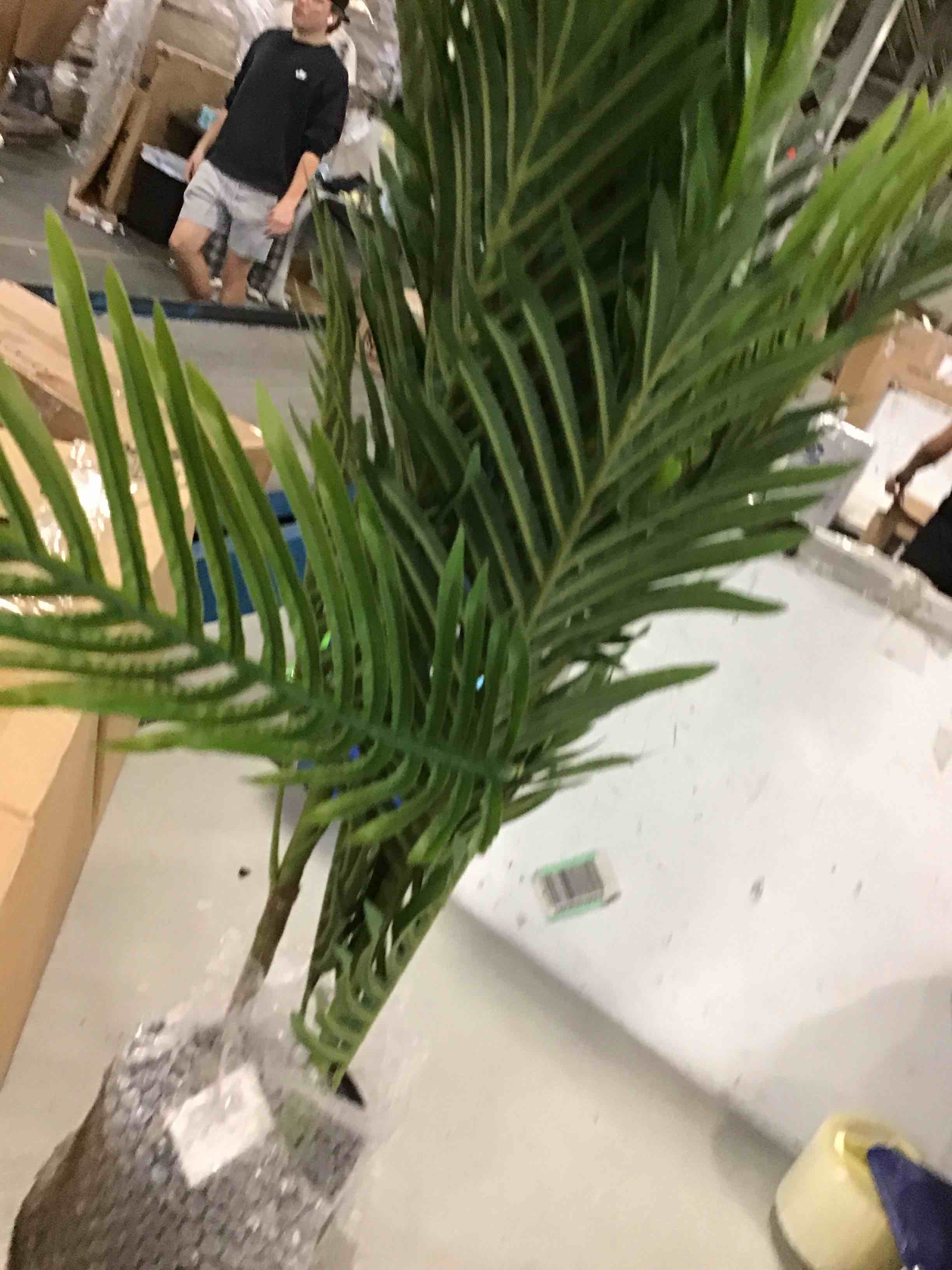 https://s3.amazonaws.com/lotting-images-prod/bidfta/YEL6446951_1718035015087.jpeg