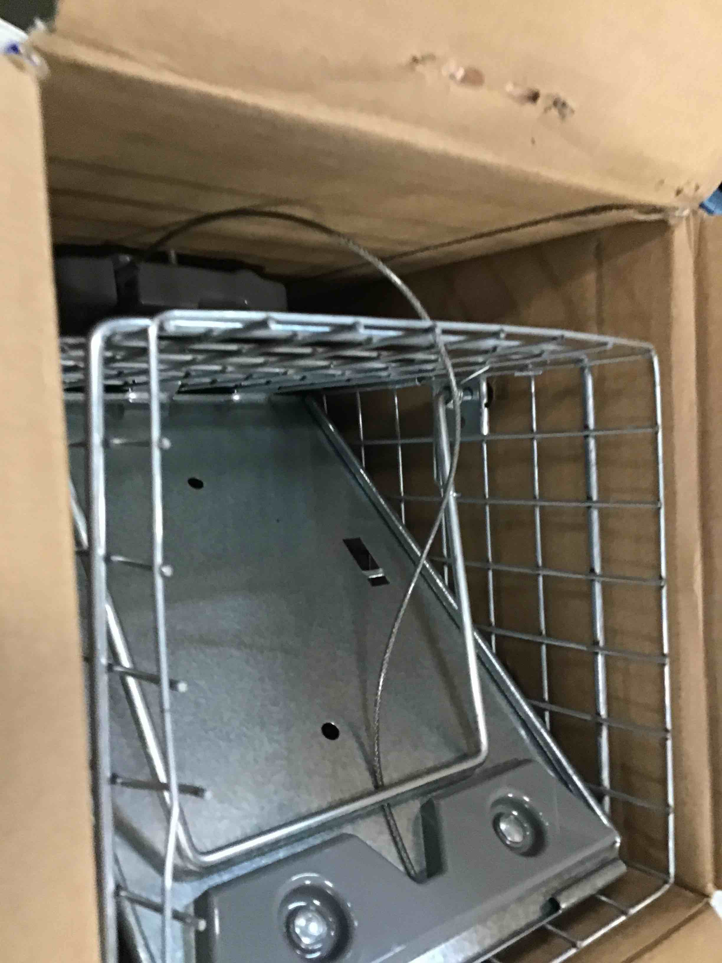 https://s3.amazonaws.com/lotting-images-prod/bidfta/YEL6451252_1717770523089.jpeg