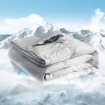 BREATHTAKING LUXuRY FOR BEDTIME Leisure THEAD spared