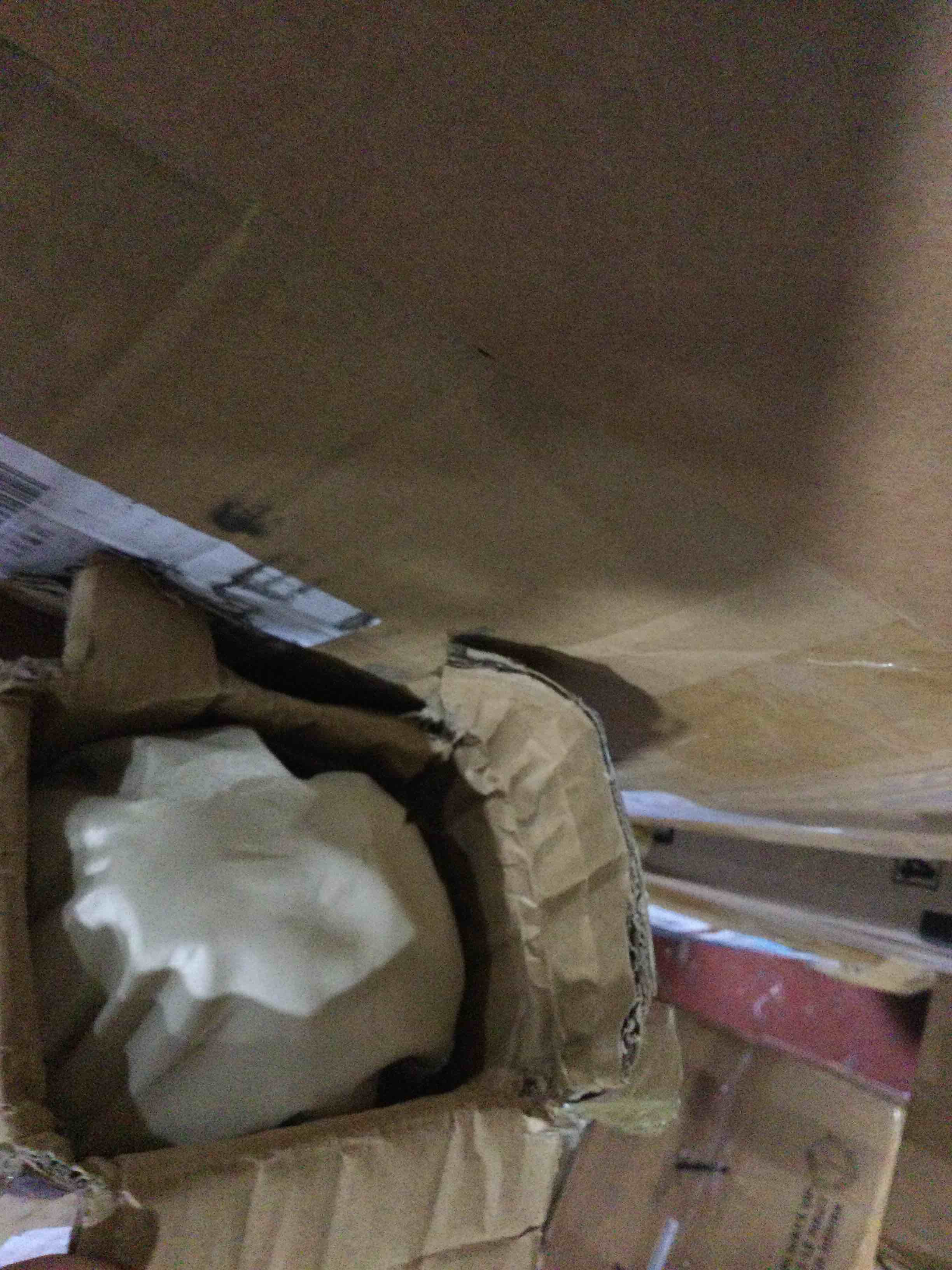 https://s3.amazonaws.com/lotting-images-prod/bidfta/YEL6482475_1721683711419.jpeg