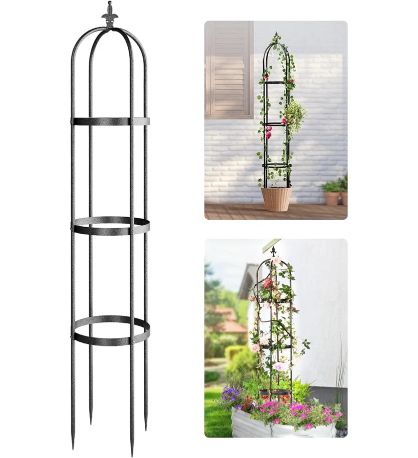 Sohvi 71'' H x 13'' W Metal Obelisk Trellis