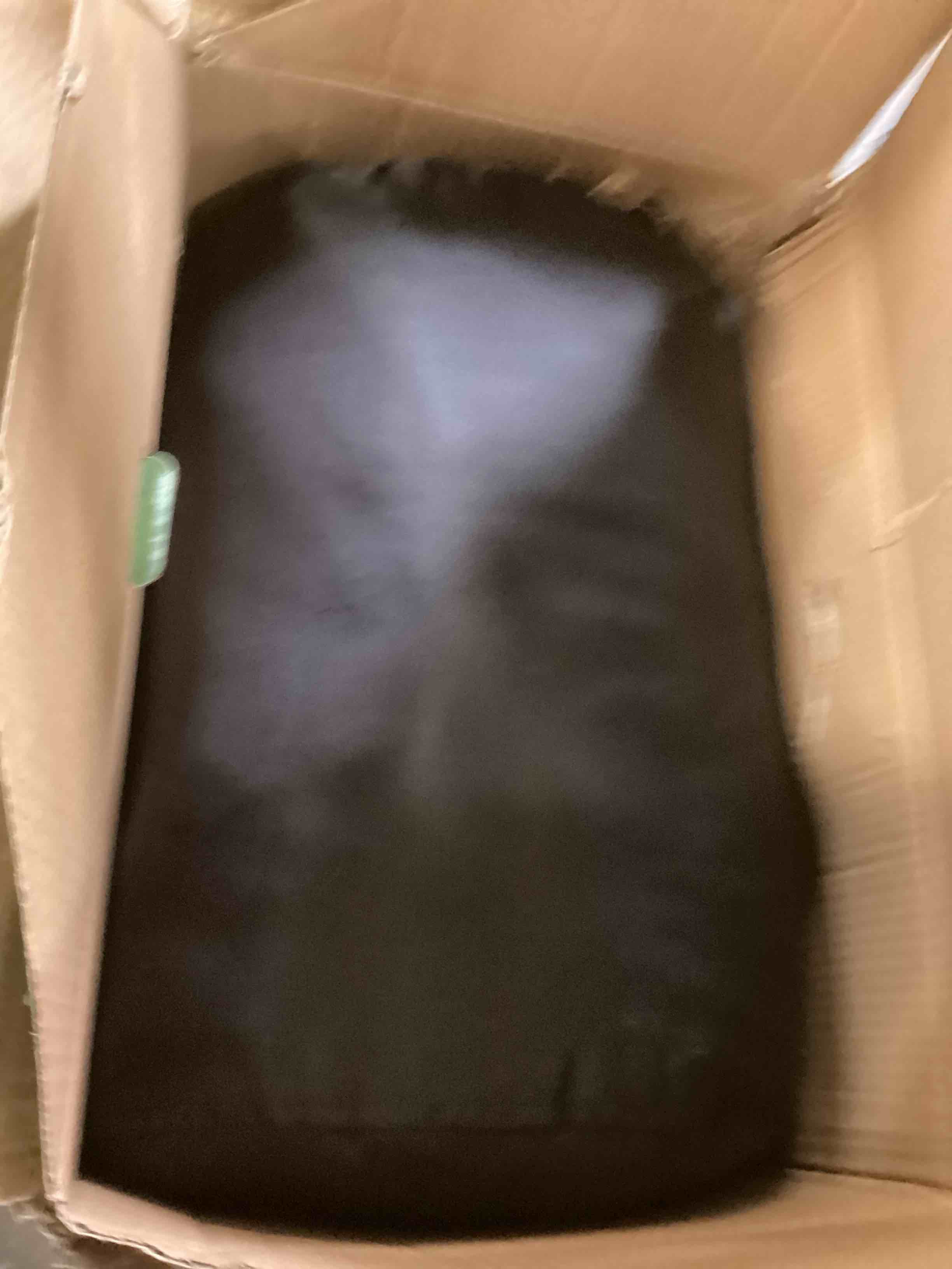 https://s3.amazonaws.com/lotting-images-prod/bidfta/YEL6567643_1716231042419.jpeg