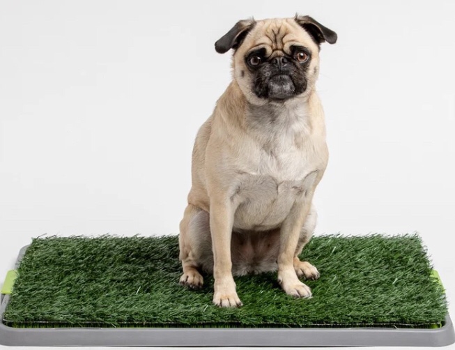 Potty Patch - Reusable Dog Trainer