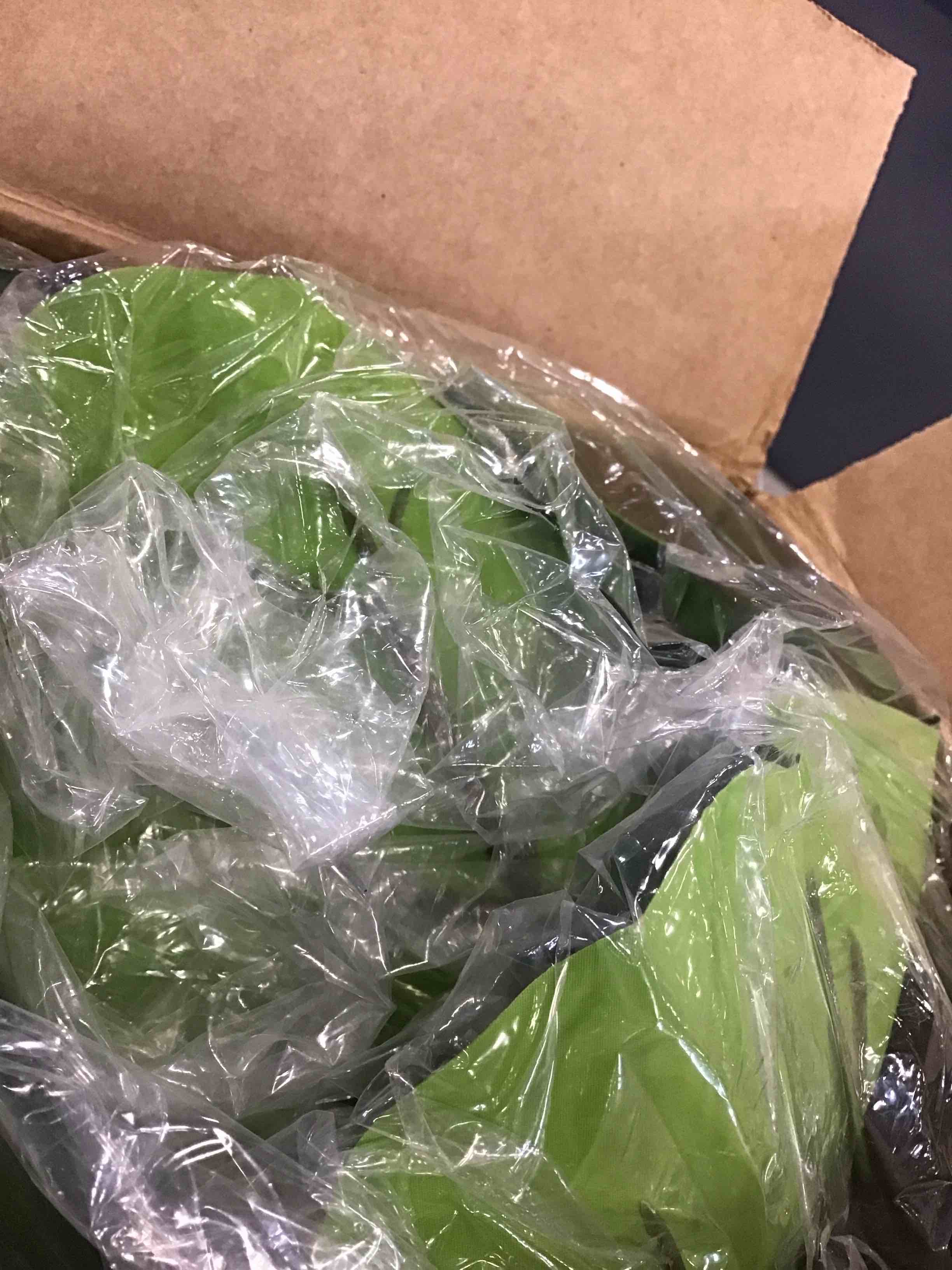 https://s3.amazonaws.com/lotting-images-prod/bidfta/YEL6602178_1715798434103.jpeg