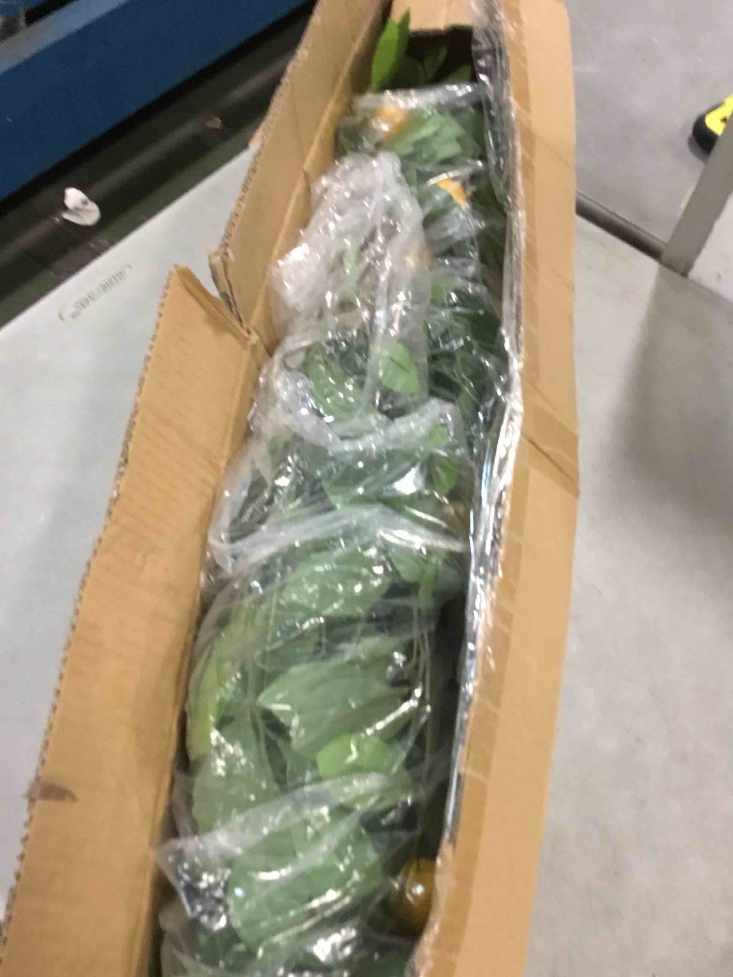 https://s3.amazonaws.com/lotting-images-prod/bidfta/YEL6618310_1719400850210.jpeg