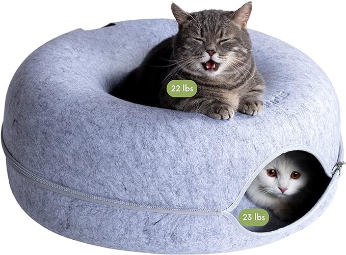 CATTASAURUS Peekaboo Cat Cave for Multiple Cats & Large Cats, for Cats Up to 30 Lbs, Cat Caves for Indoor Cats, Cat Tunnel Bed, Scratch Detachable & Washable Tunnel Cat Bed (Large, Dark Gray) Large Dark Gray