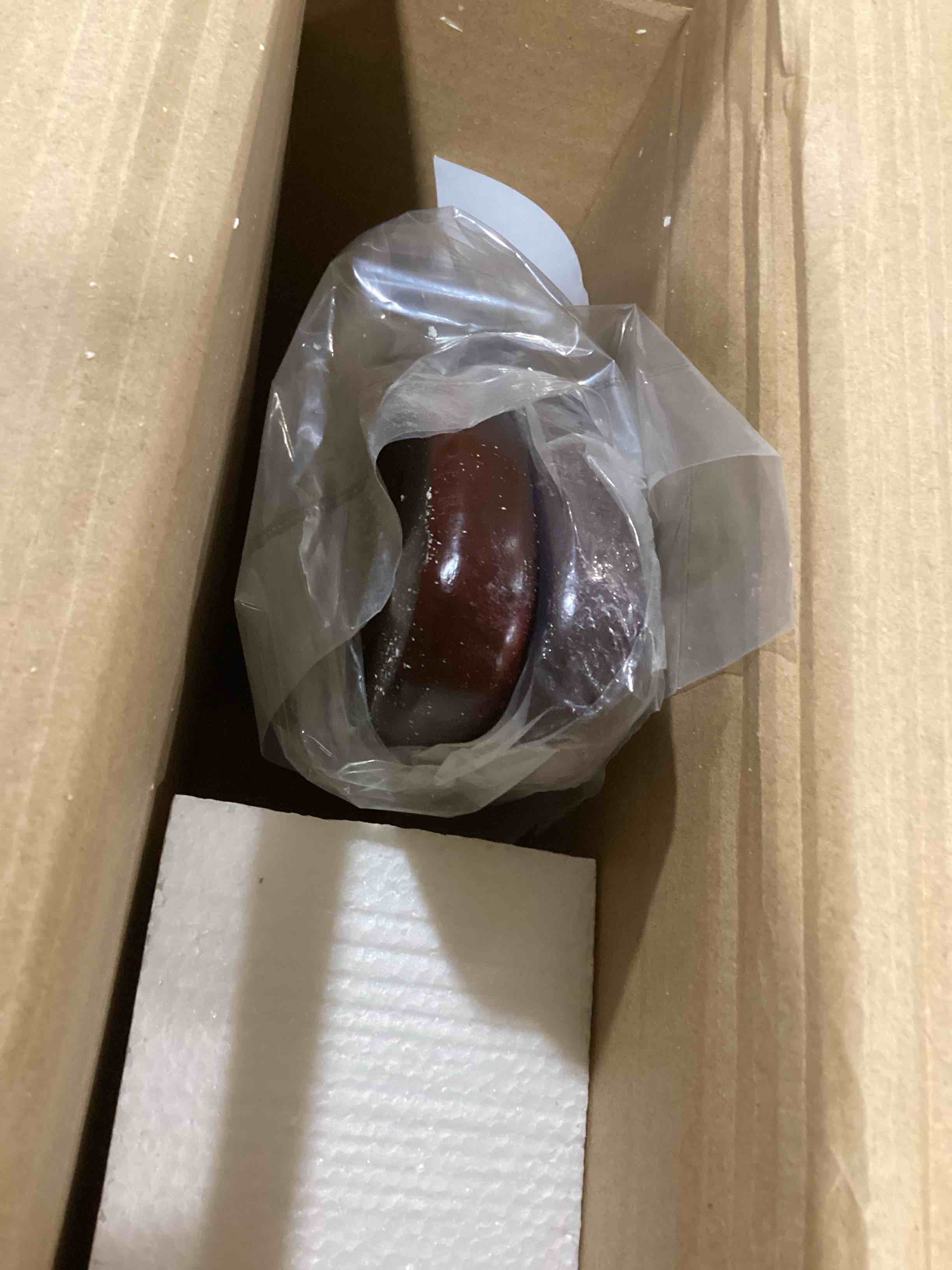 https://s3.amazonaws.com/lotting-images-prod/bidfta/YEL6698623_1722349206115.jpeg