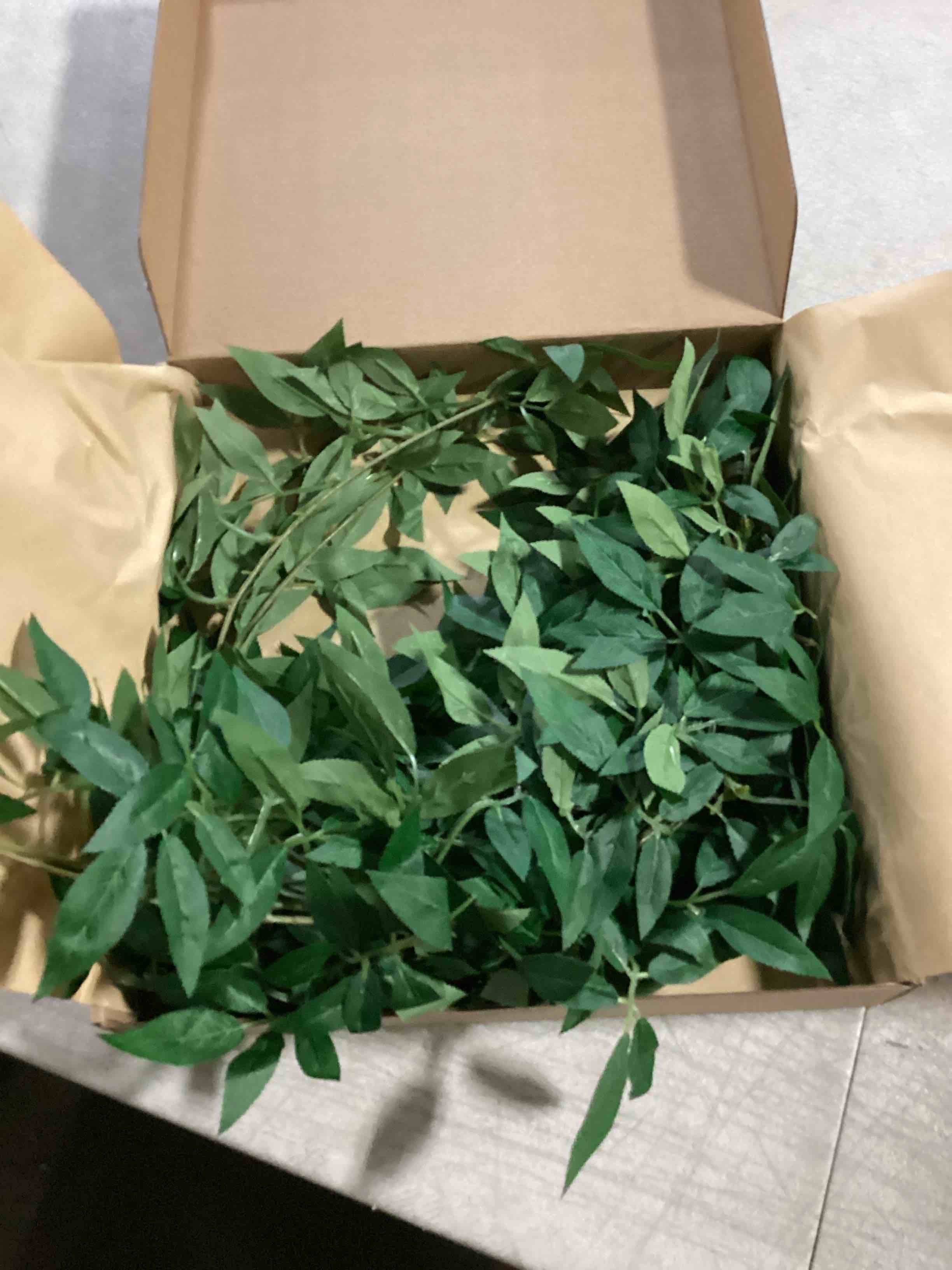 https://s3.amazonaws.com/lotting-images-prod/bidfta/YEL6714061_1731952959430.jpeg