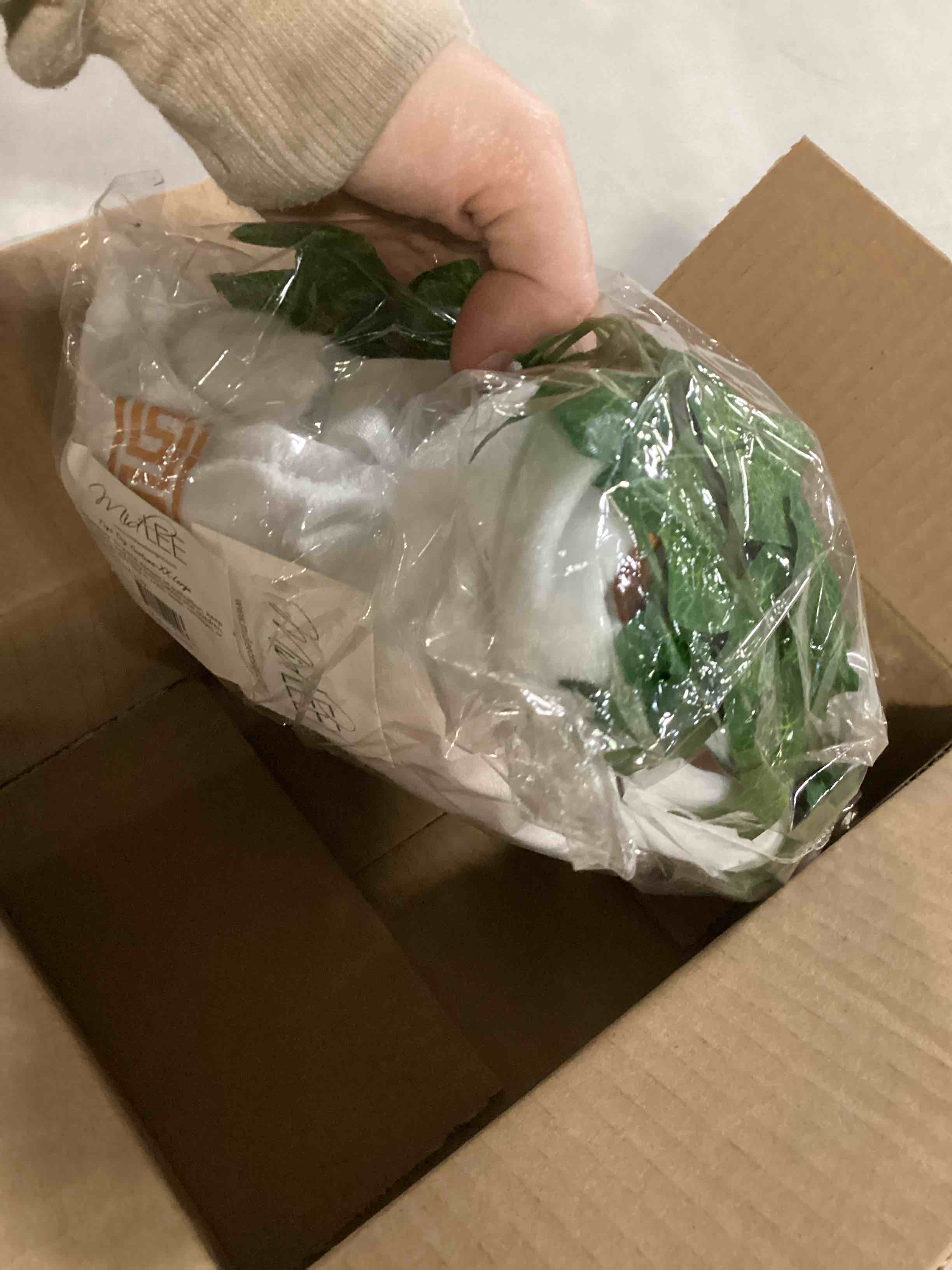 https://s3.amazonaws.com/lotting-images-prod/bidfta/YEL6726515_1732200155491.jpeg