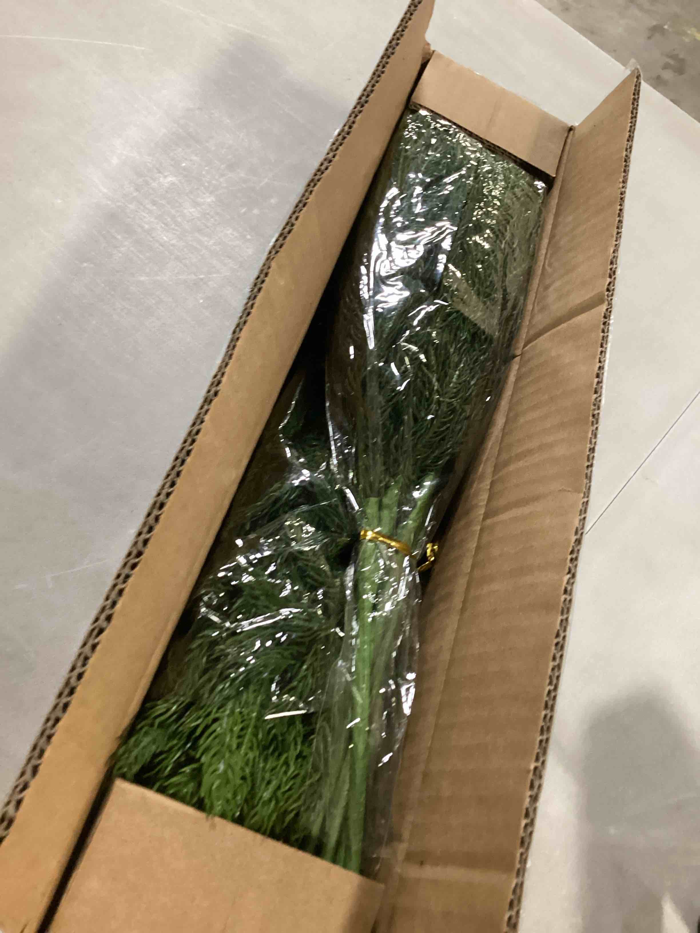 https://s3.amazonaws.com/lotting-images-prod/bidfta/YEL6727624_1733318789163.jpeg