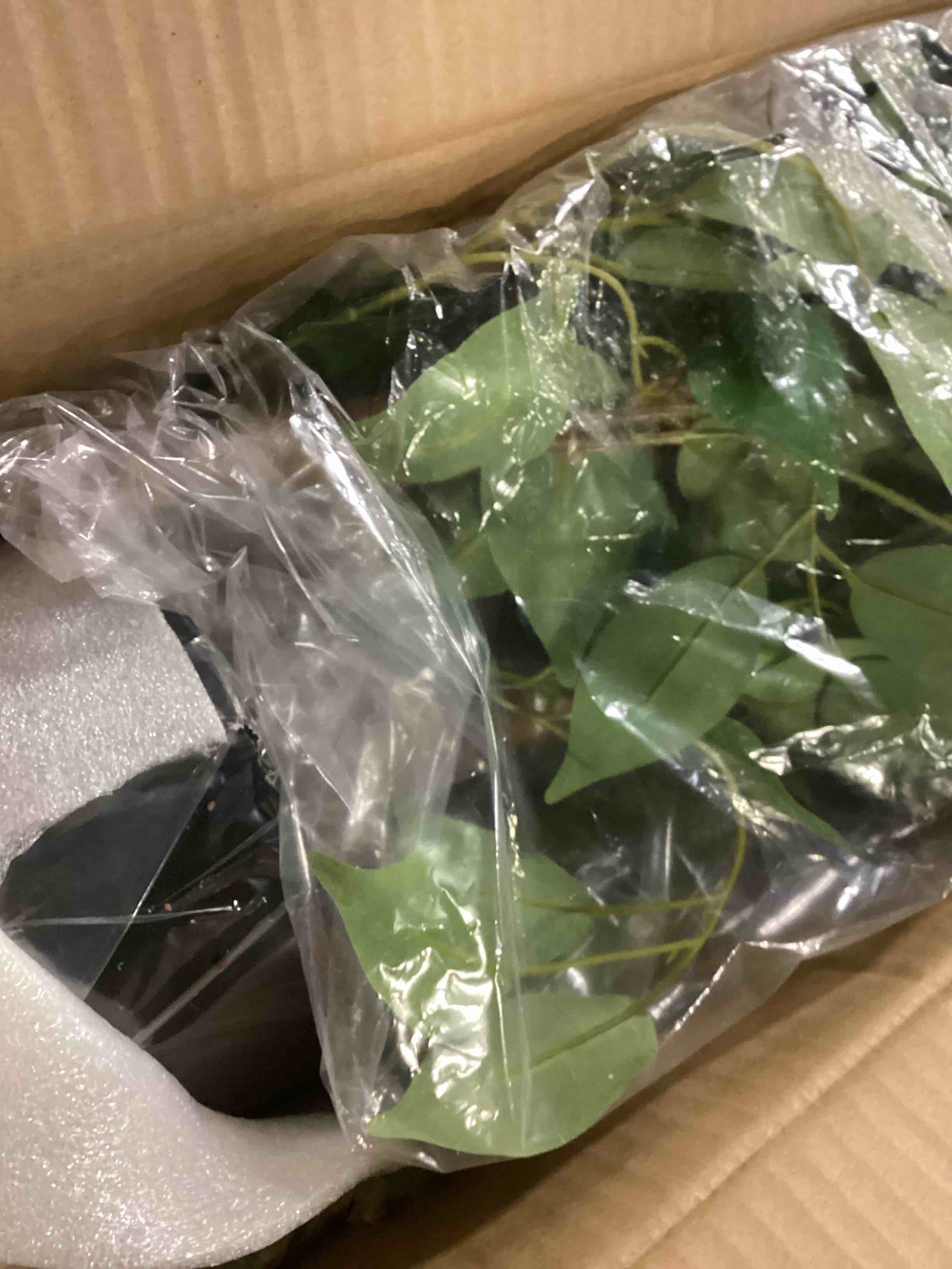 https://s3.amazonaws.com/lotting-images-prod/bidfta/YEL6802094_1736864272704.jpeg