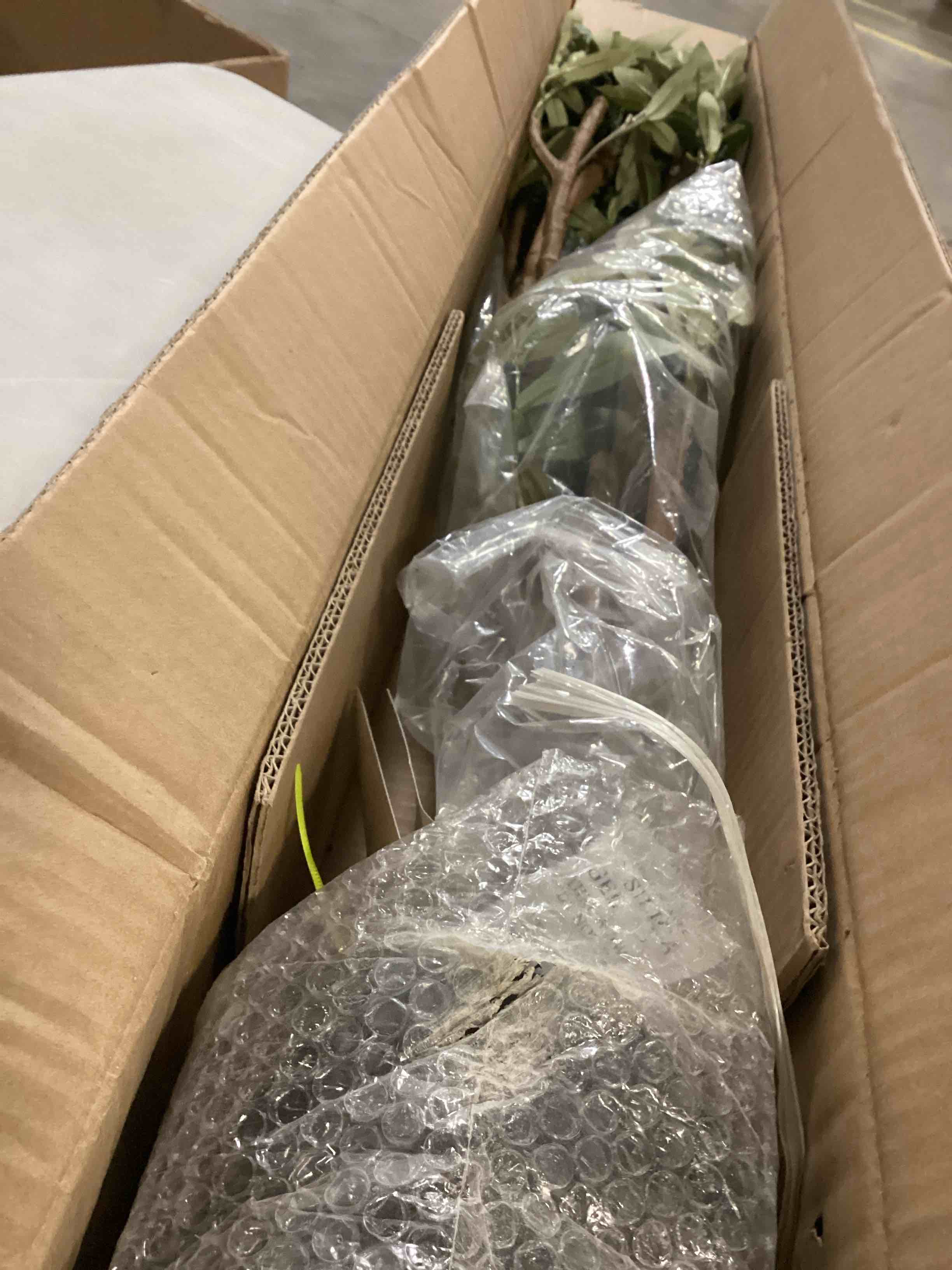 https://s3.amazonaws.com/lotting-images-prod/bidfta/YEL6802149_1736876830715.jpeg
