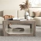 Northfleet Floor Shelf Coffee Table with Storage
