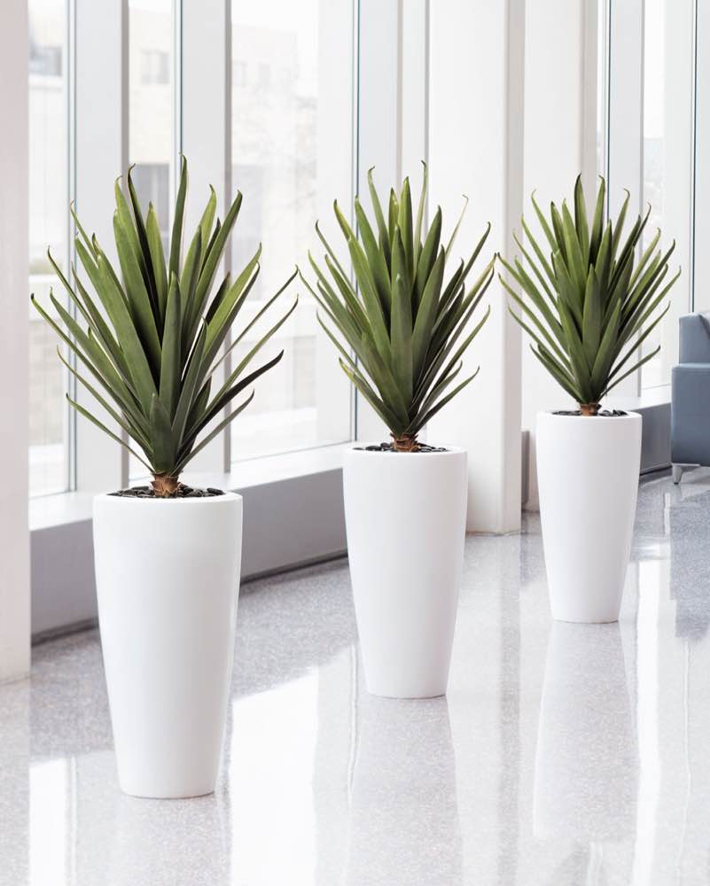 Artificial Succulent Plant in Pot