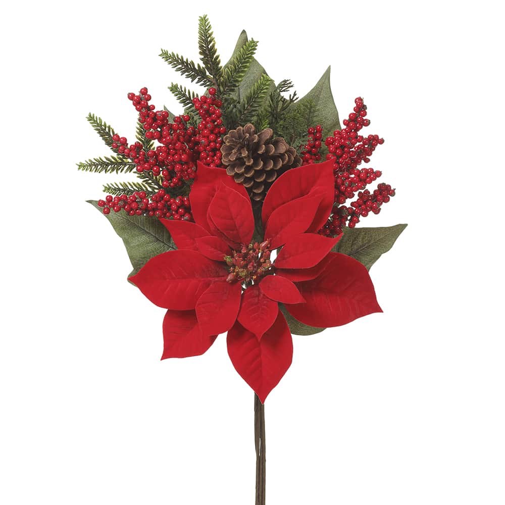 Poinsettia Stems