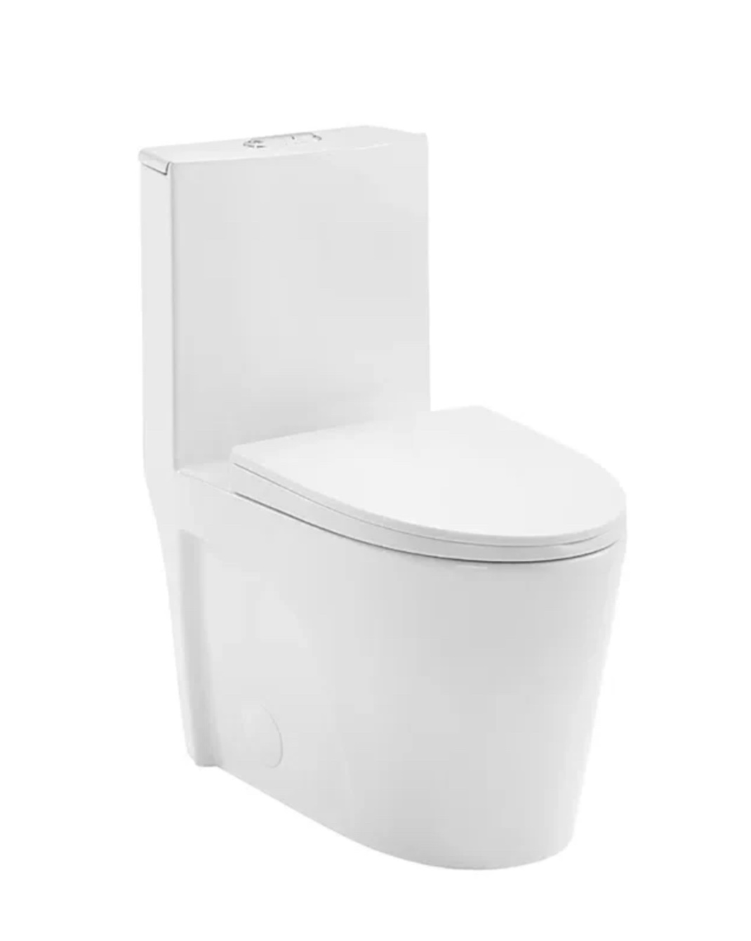 ACE One-Piece Elongated Toilet, 1.1/1.6 GPF Dual-Flush