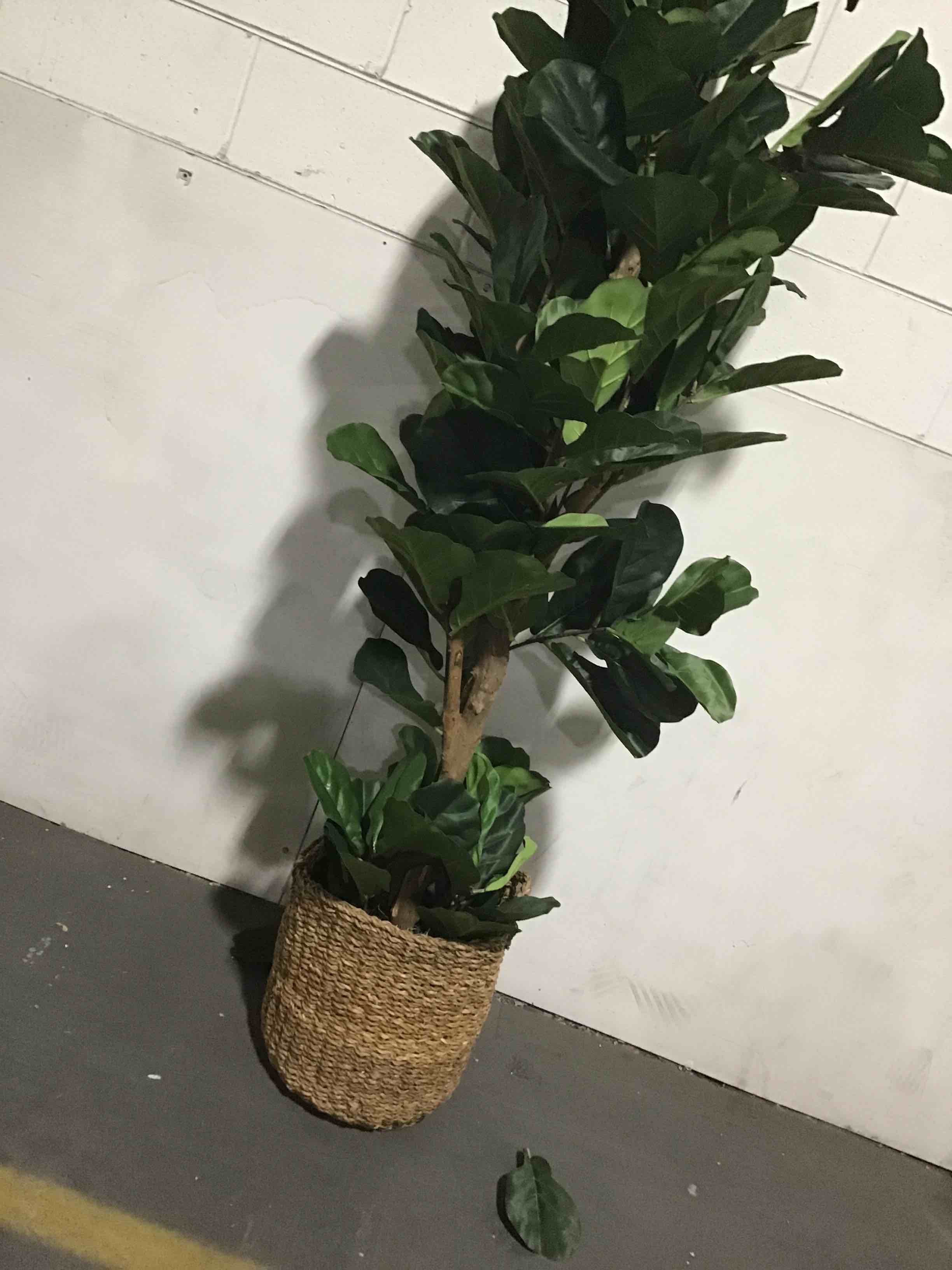 https://s3.amazonaws.com/lotting-images-prod/bidfta/YEL6814632_1725887044565.jpeg